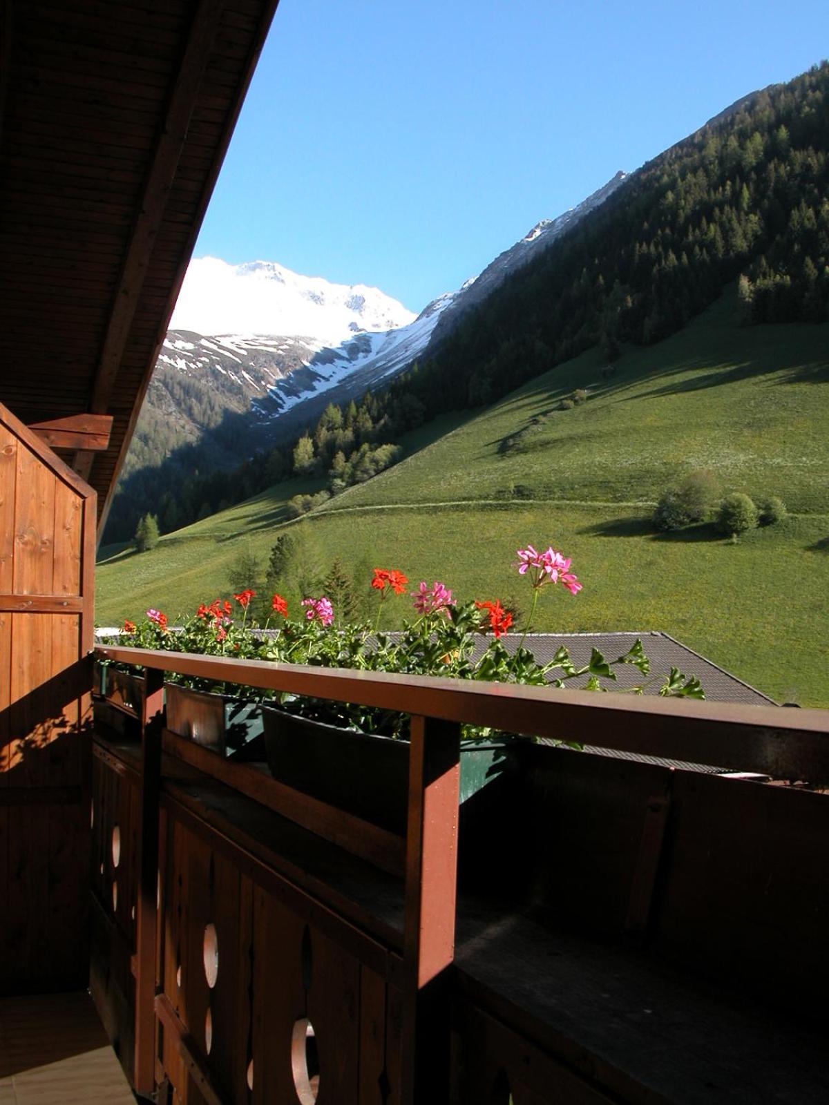 Feichterhof Voppichler view 5