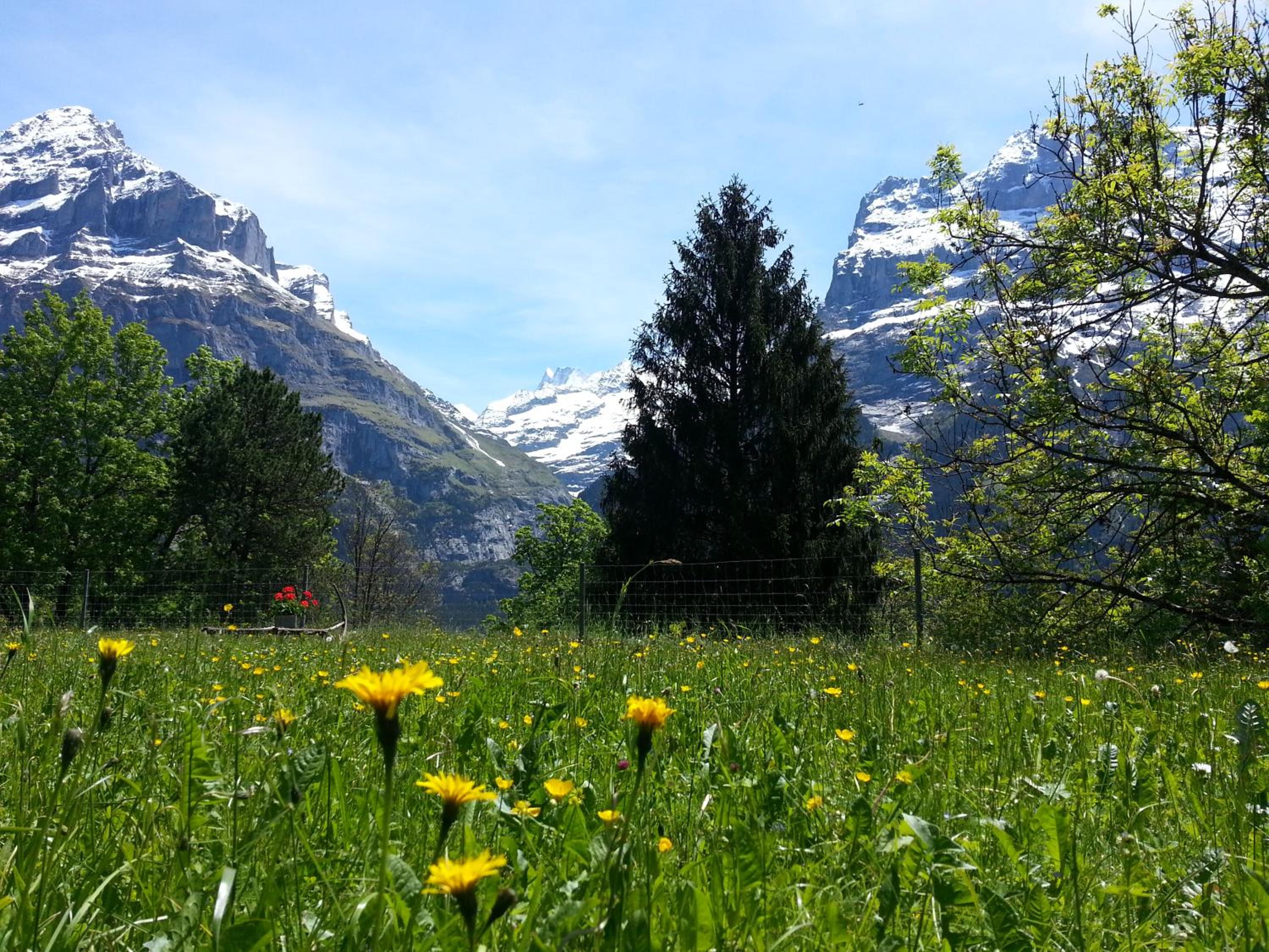 Grindelwald Youth Hostel