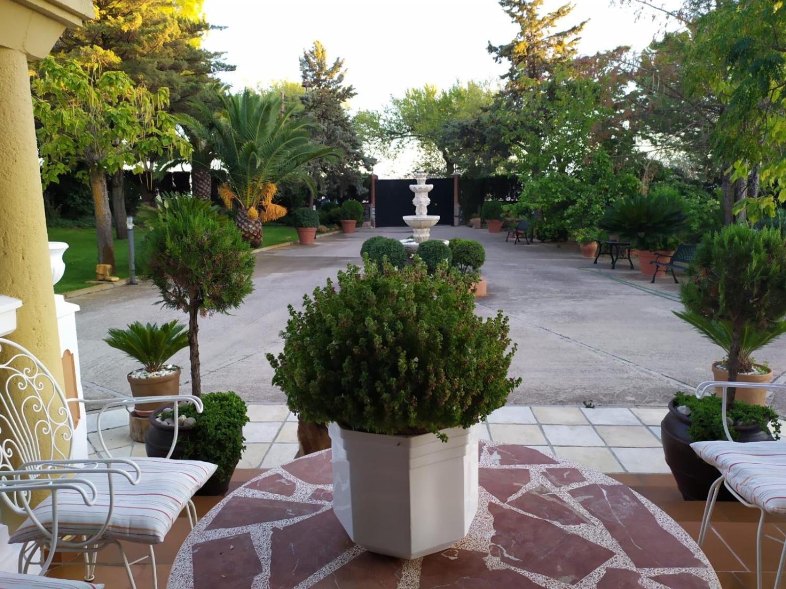 Photo 35