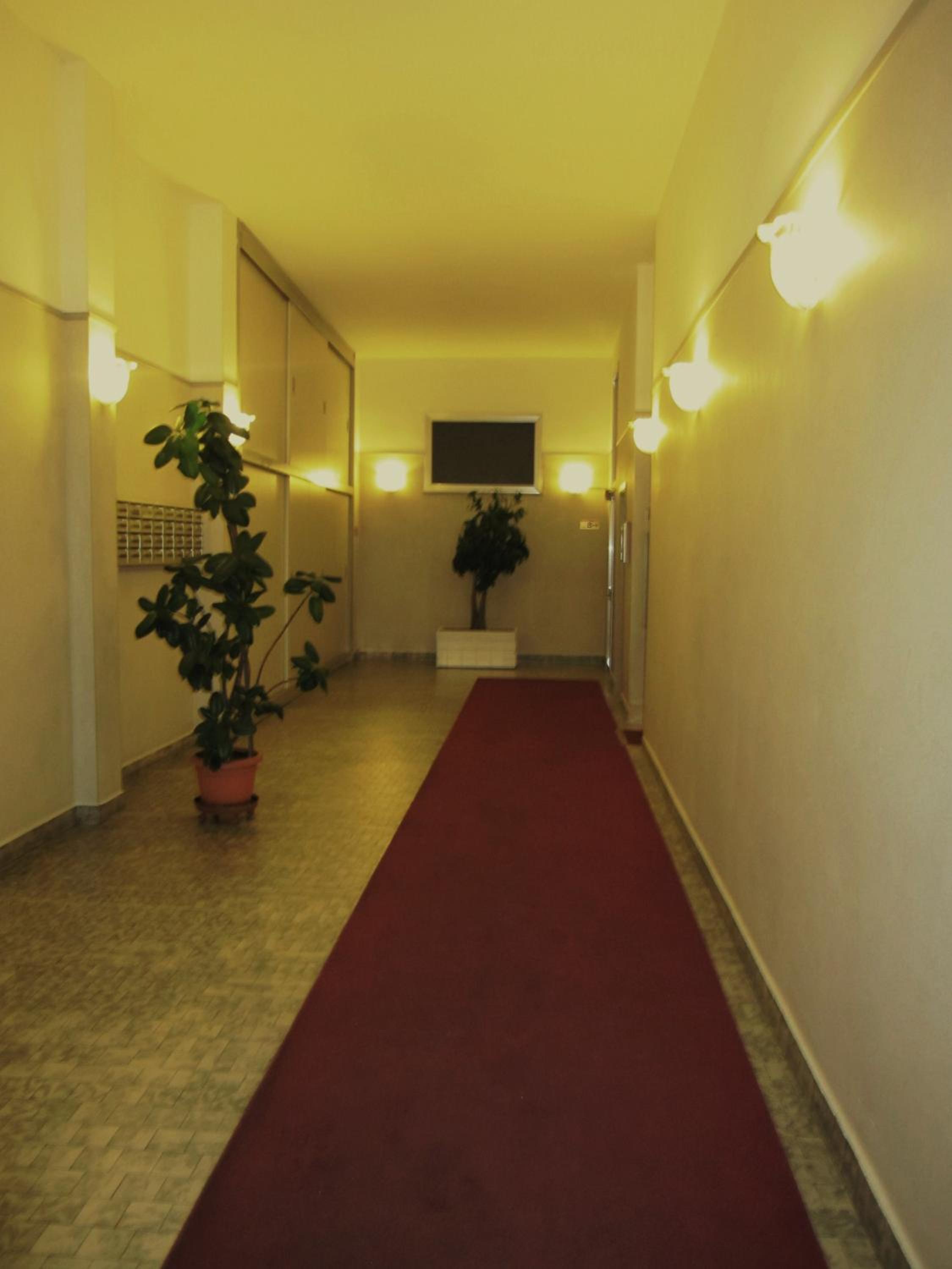 Star Hostel