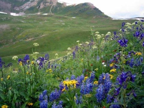 Cristiana Guesthaus - Property Image 47