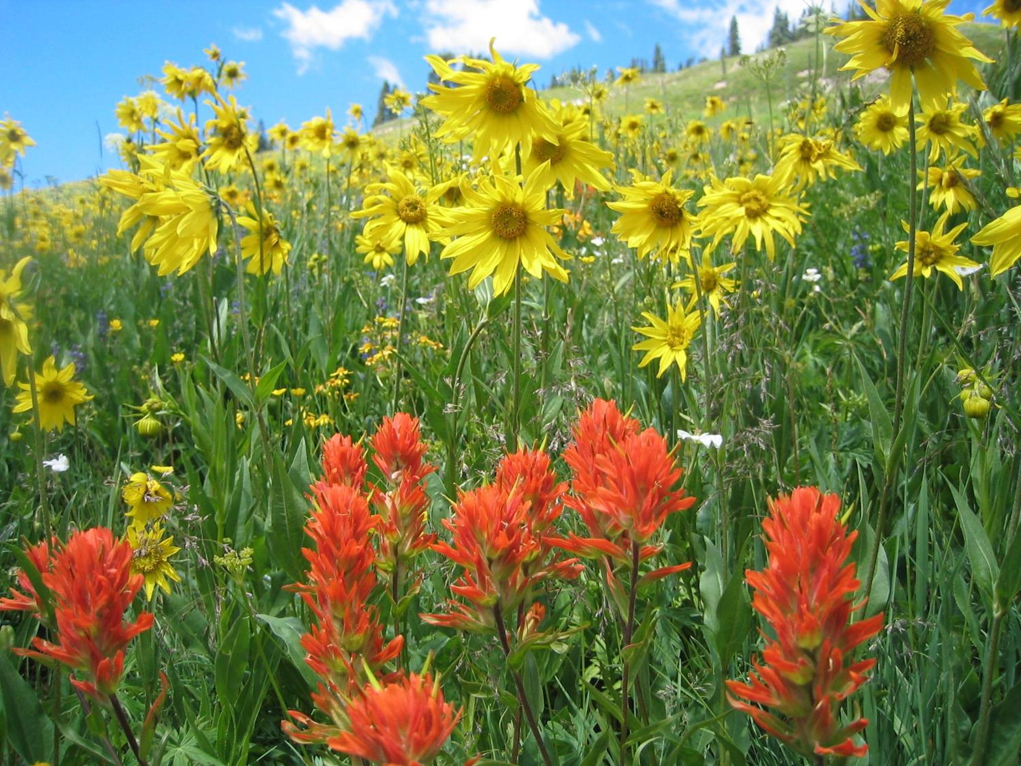 Cristiana Guesthaus - Property Image 45