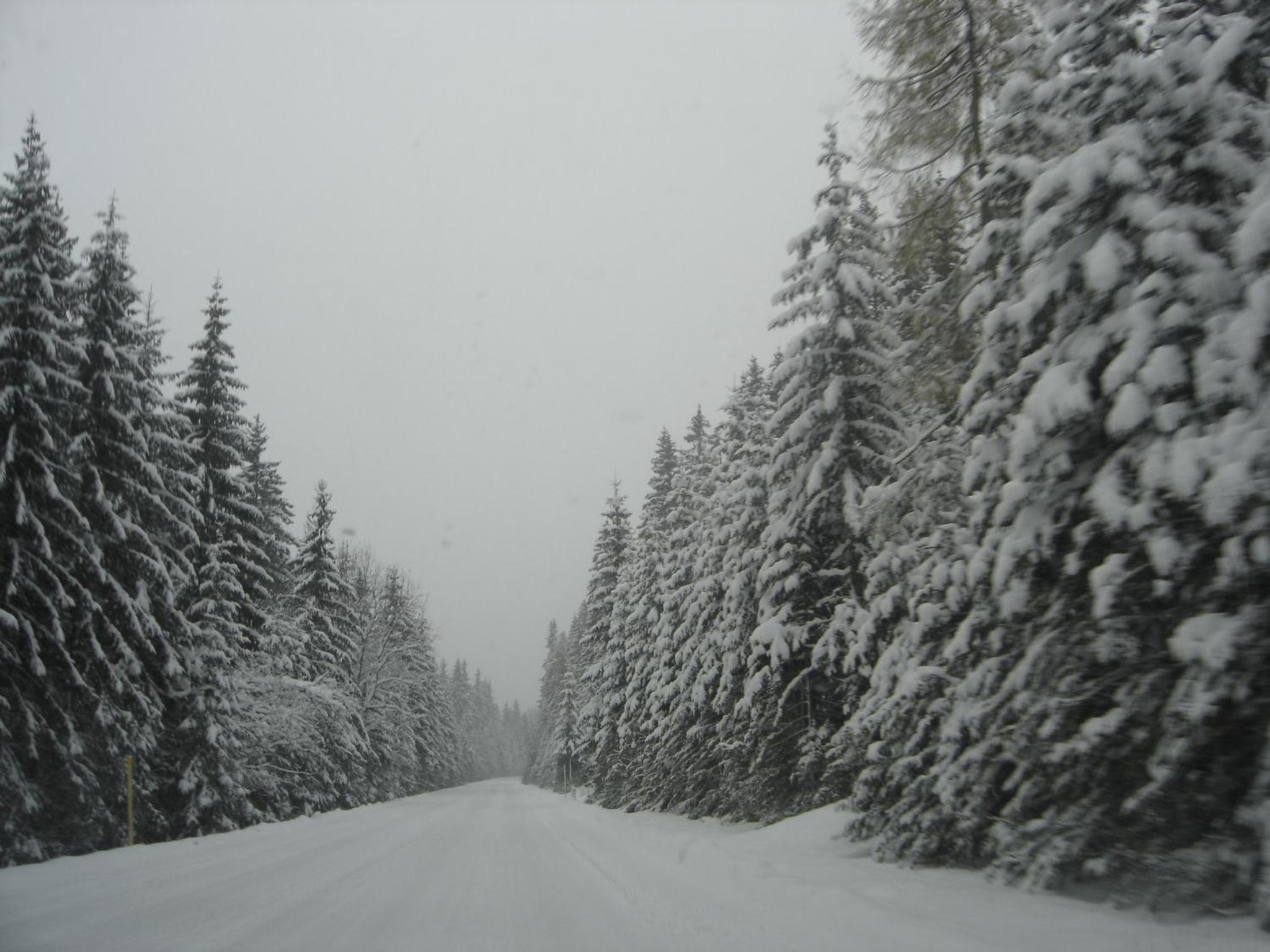 Photo 30
