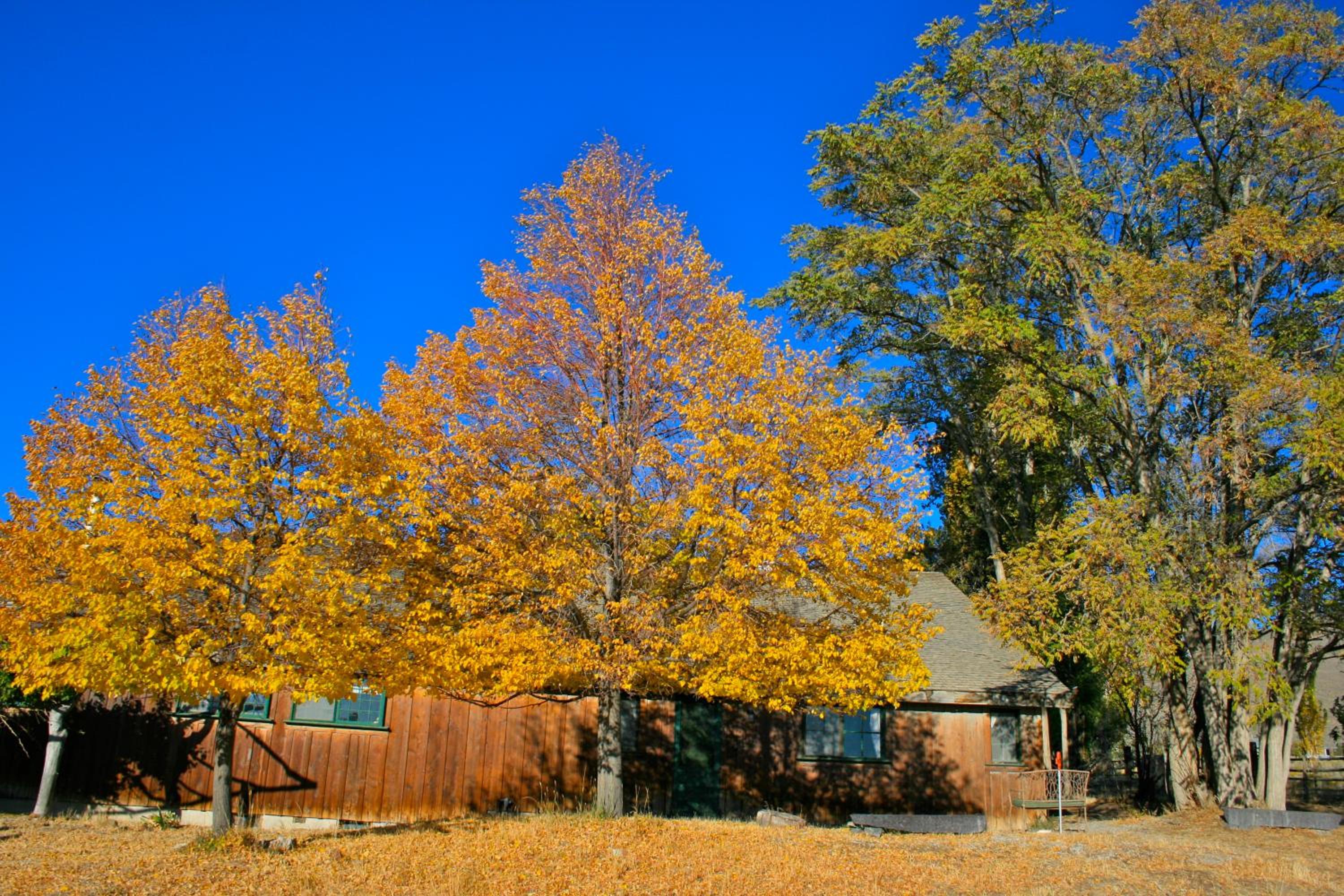Photo 21