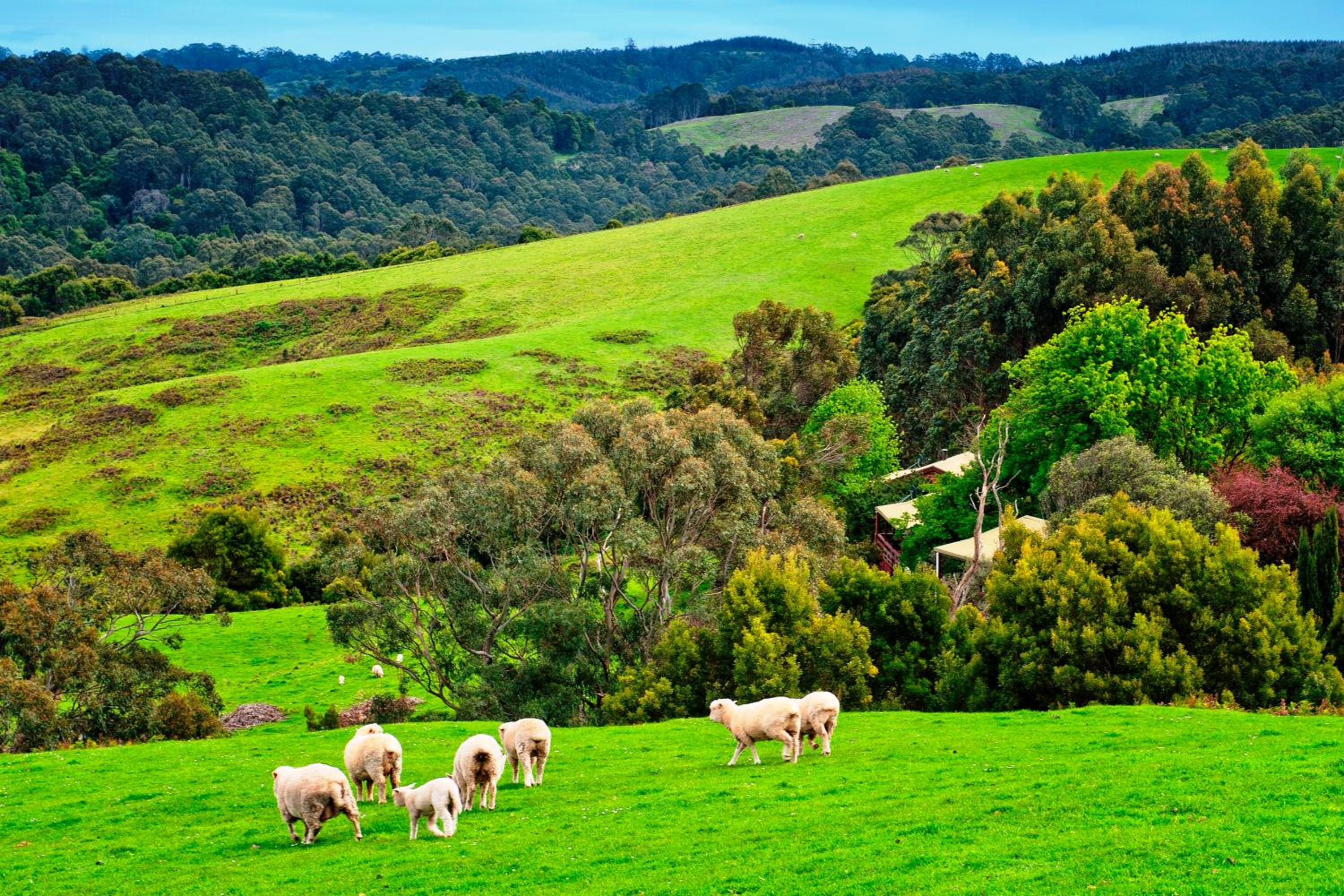 Johanna River Farm & Cottages