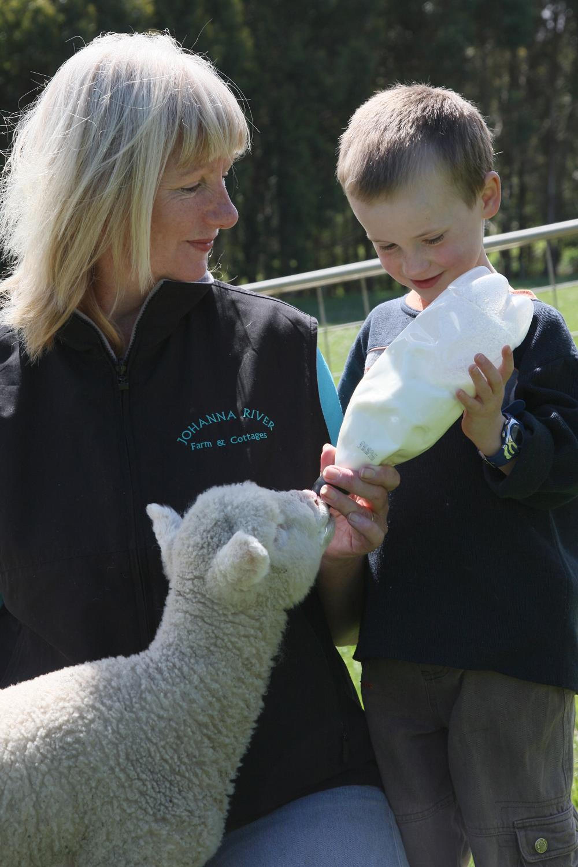 Johanna River Farm & Cottages
