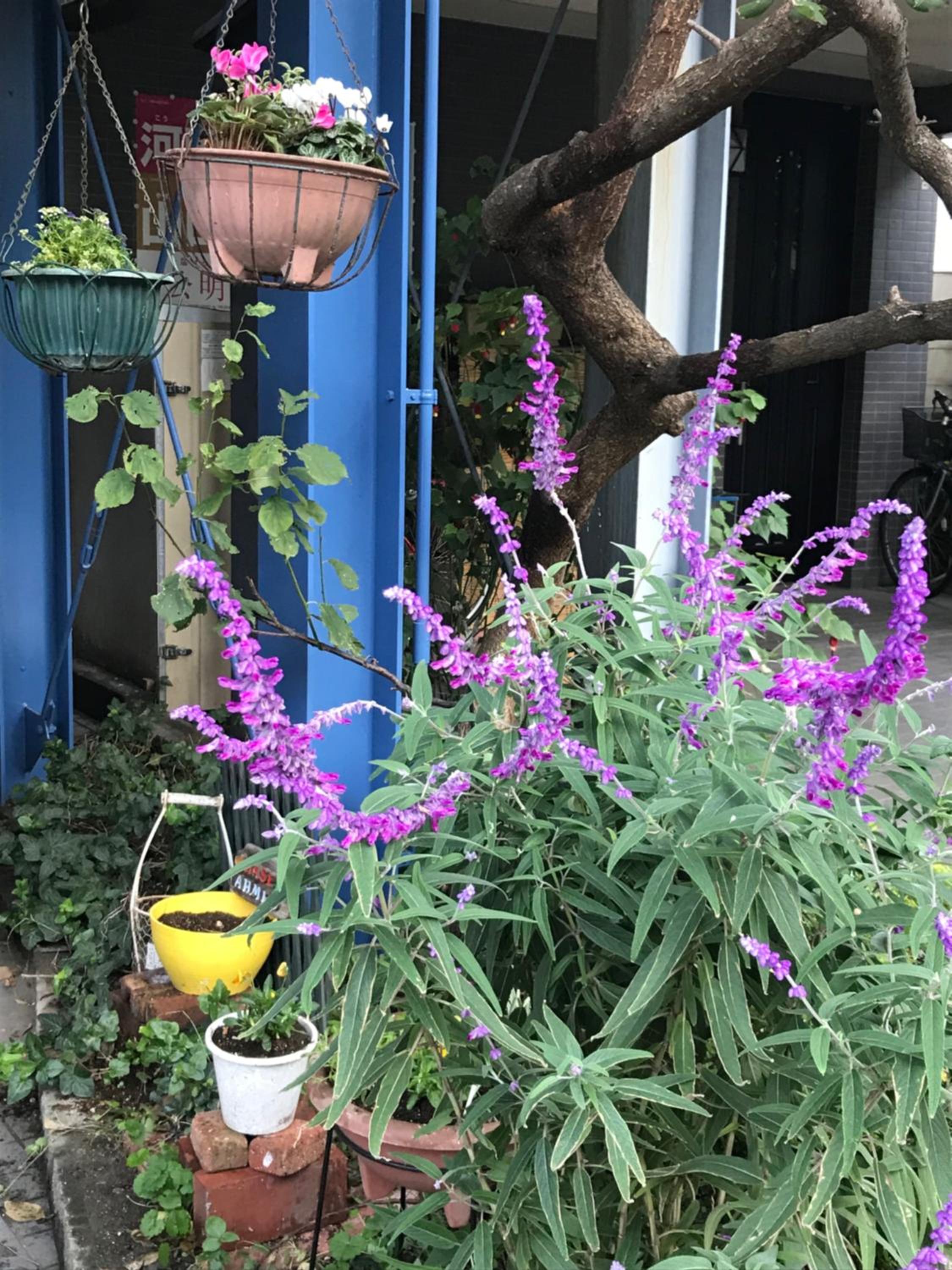 other