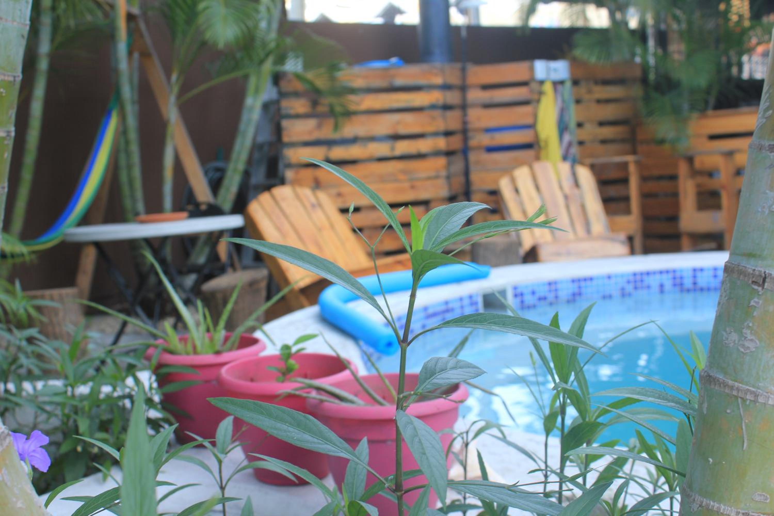 Casa Areka