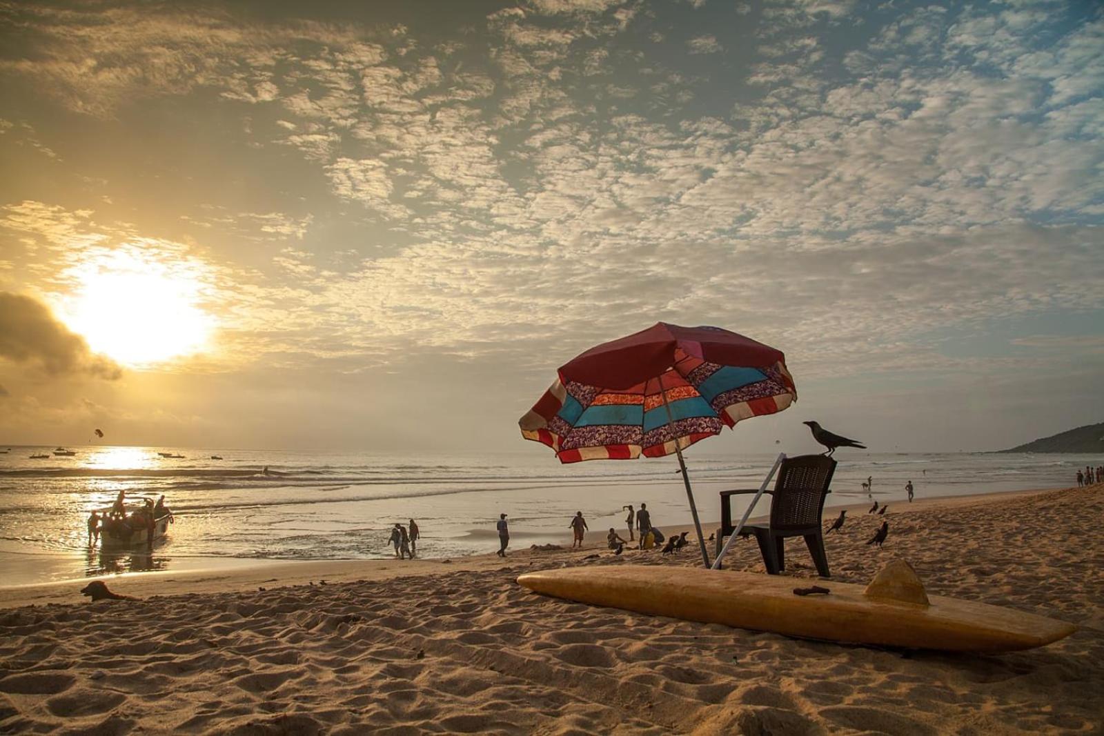 O Camarao view 5