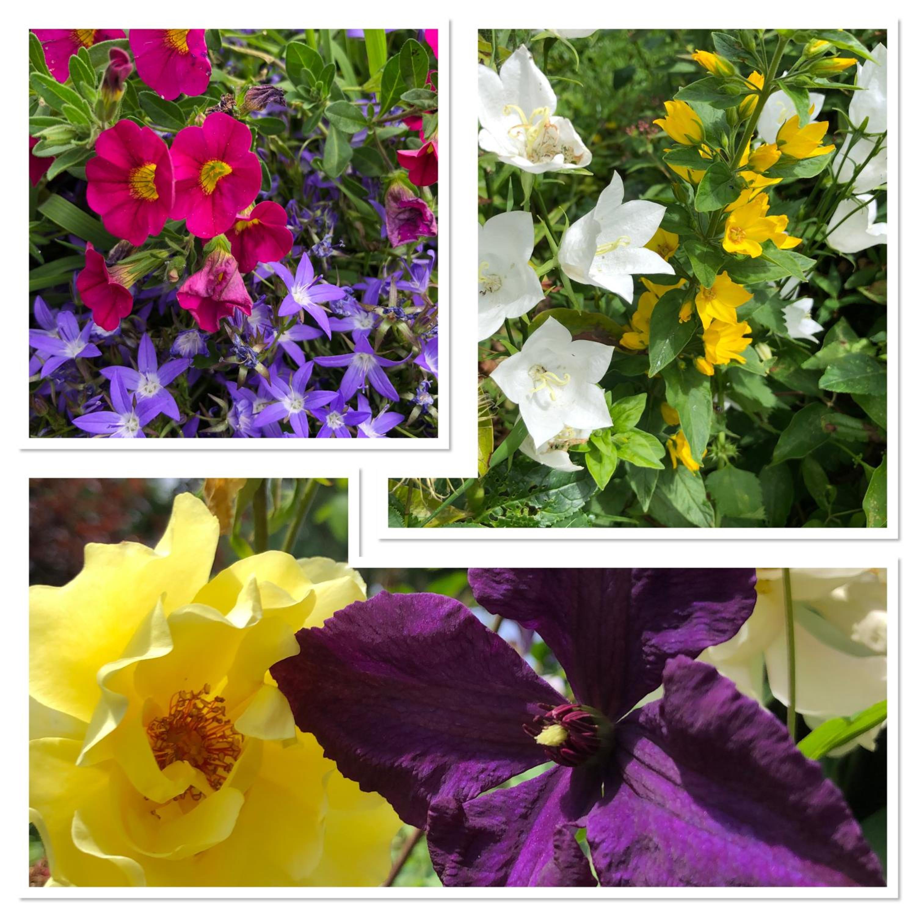 Basingstoke Vacations - West View Lodge - Property Image 51