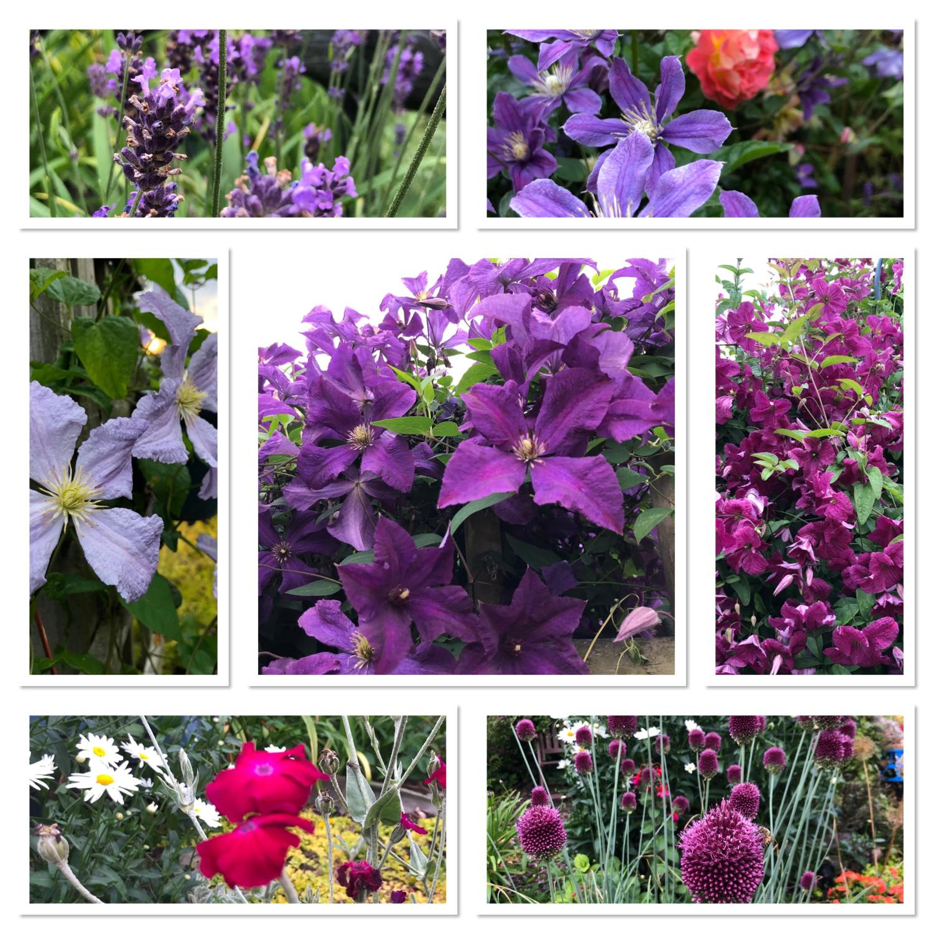 Basingstoke Vacations - West View Lodge - Property Image 54