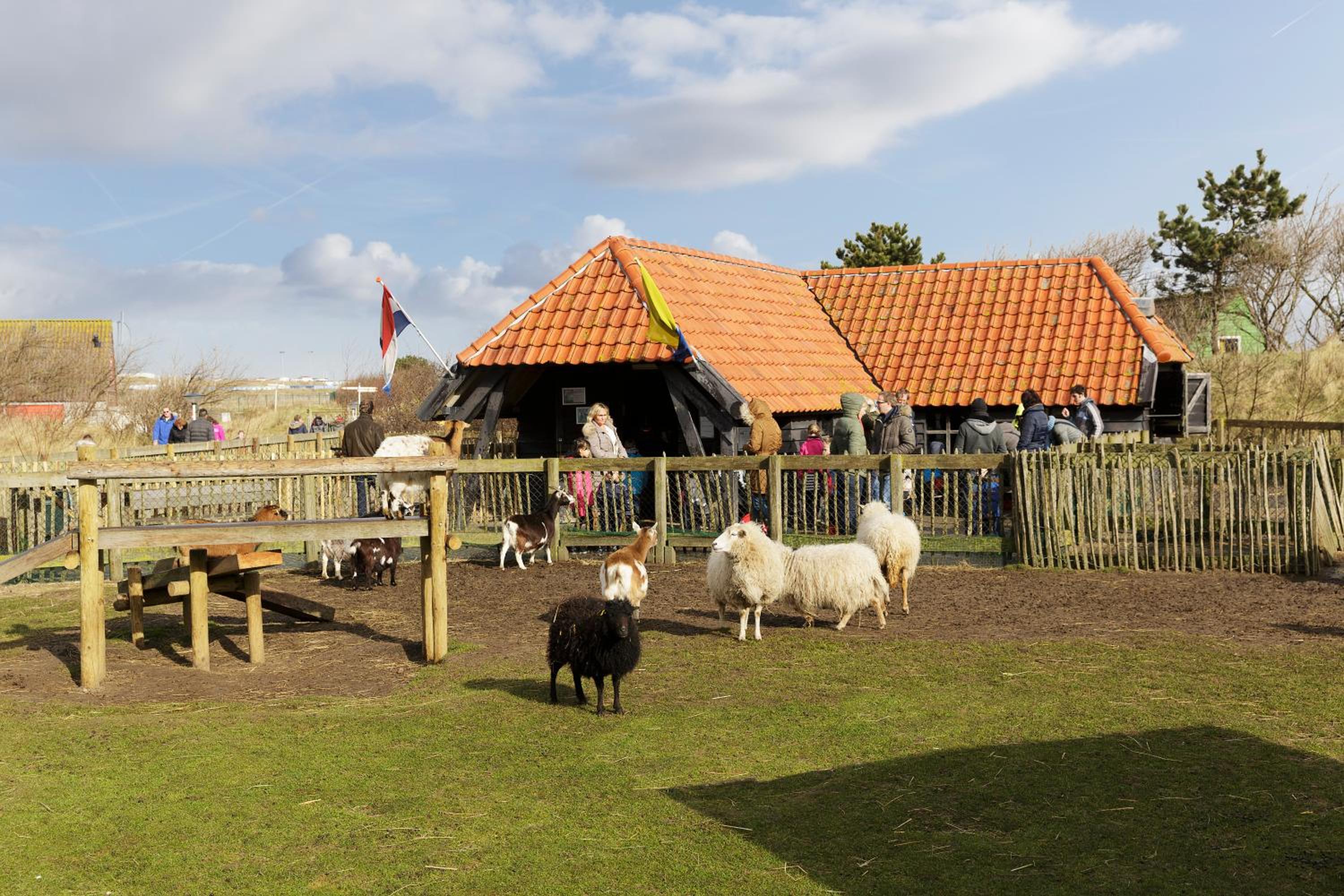 Center Parcs Zandvoort beach