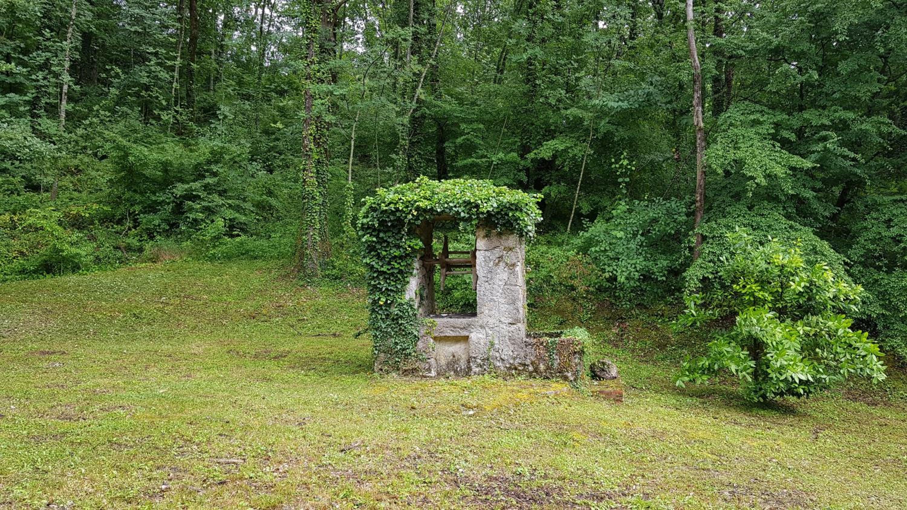 Photo 29