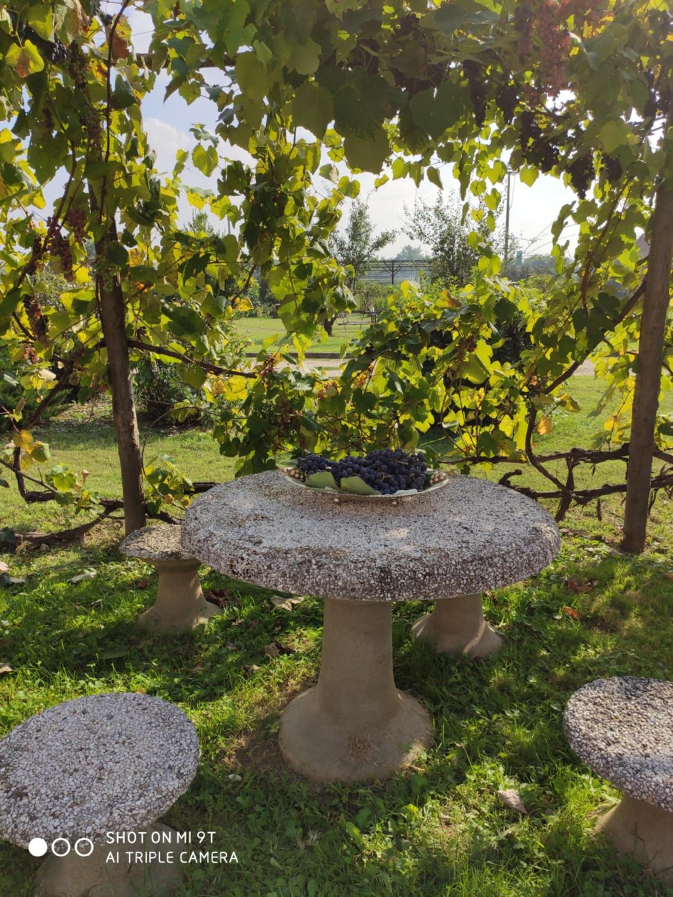 La Crota view 2