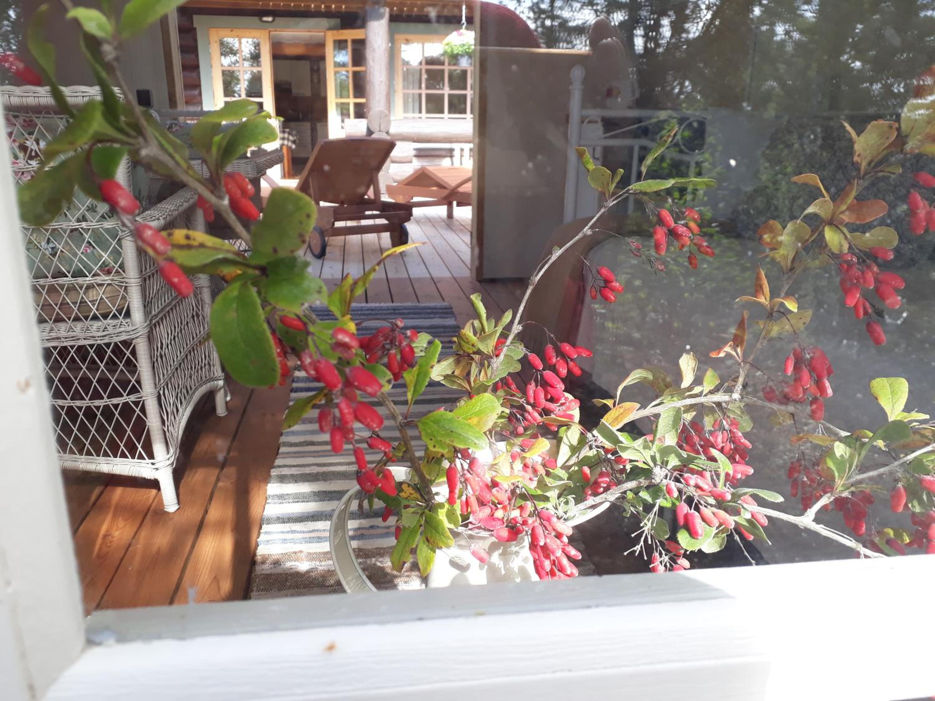 Photo 21
