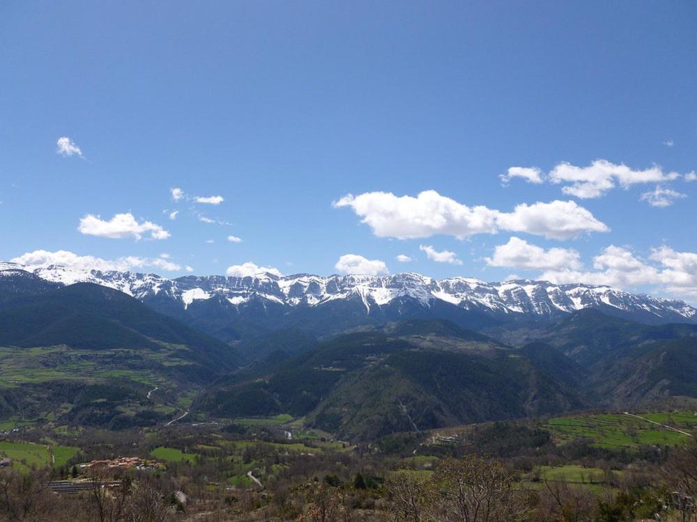 Fonda Domingo photo 4