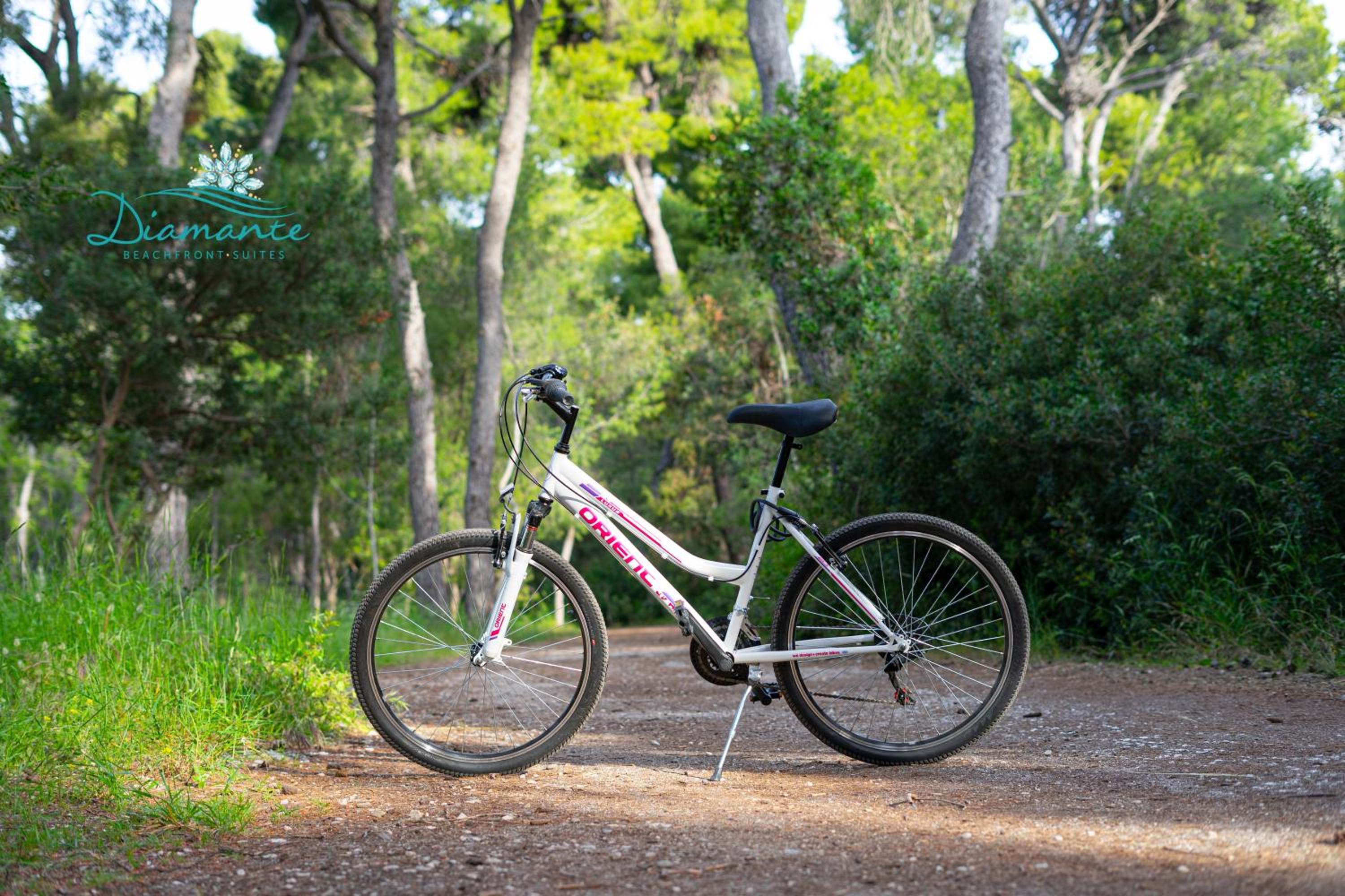 Diamante Beachfront Suites photo 5