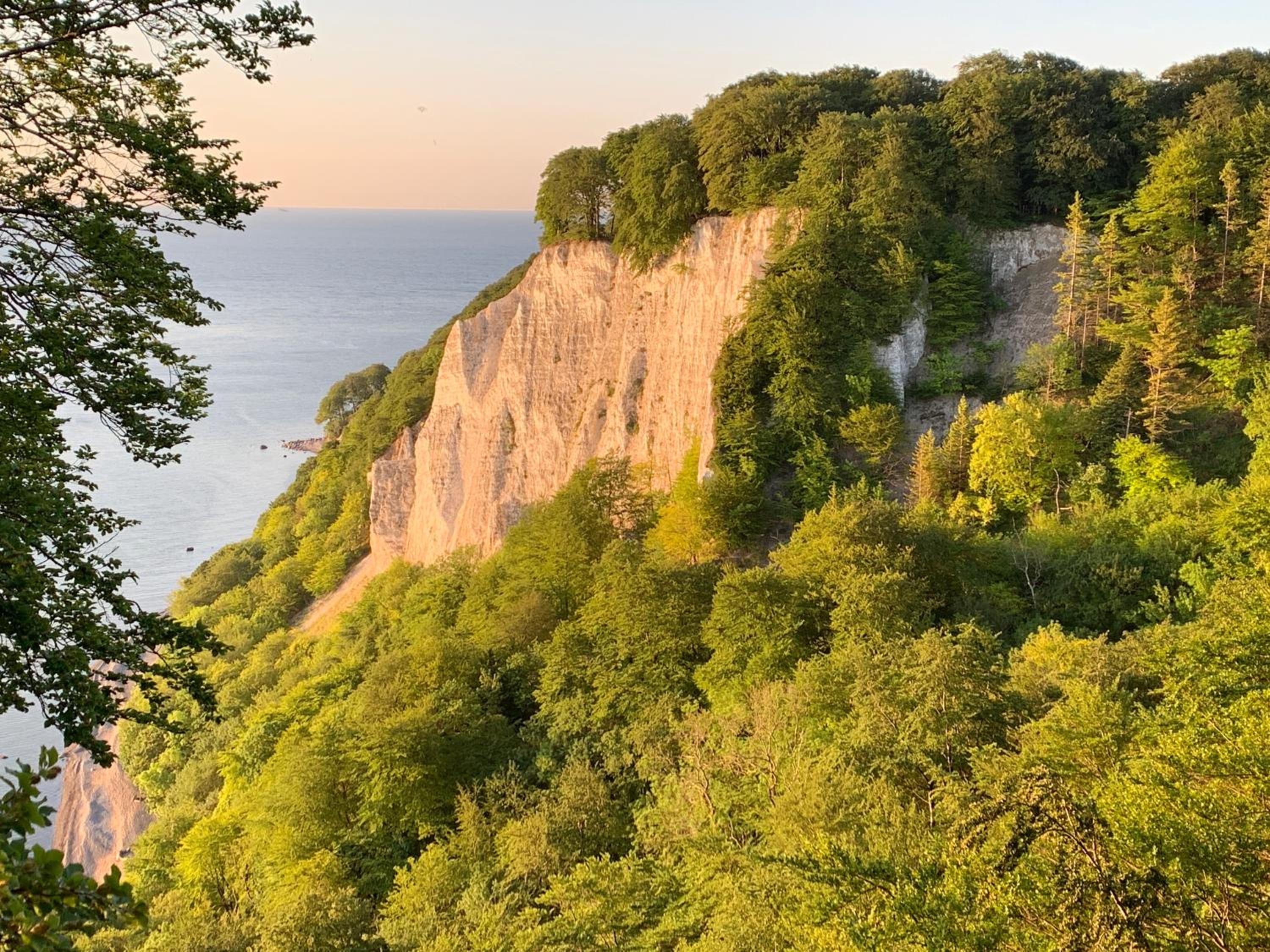 Ferienhaus am Nationalpark - Ihr Zuhause auf Rügen