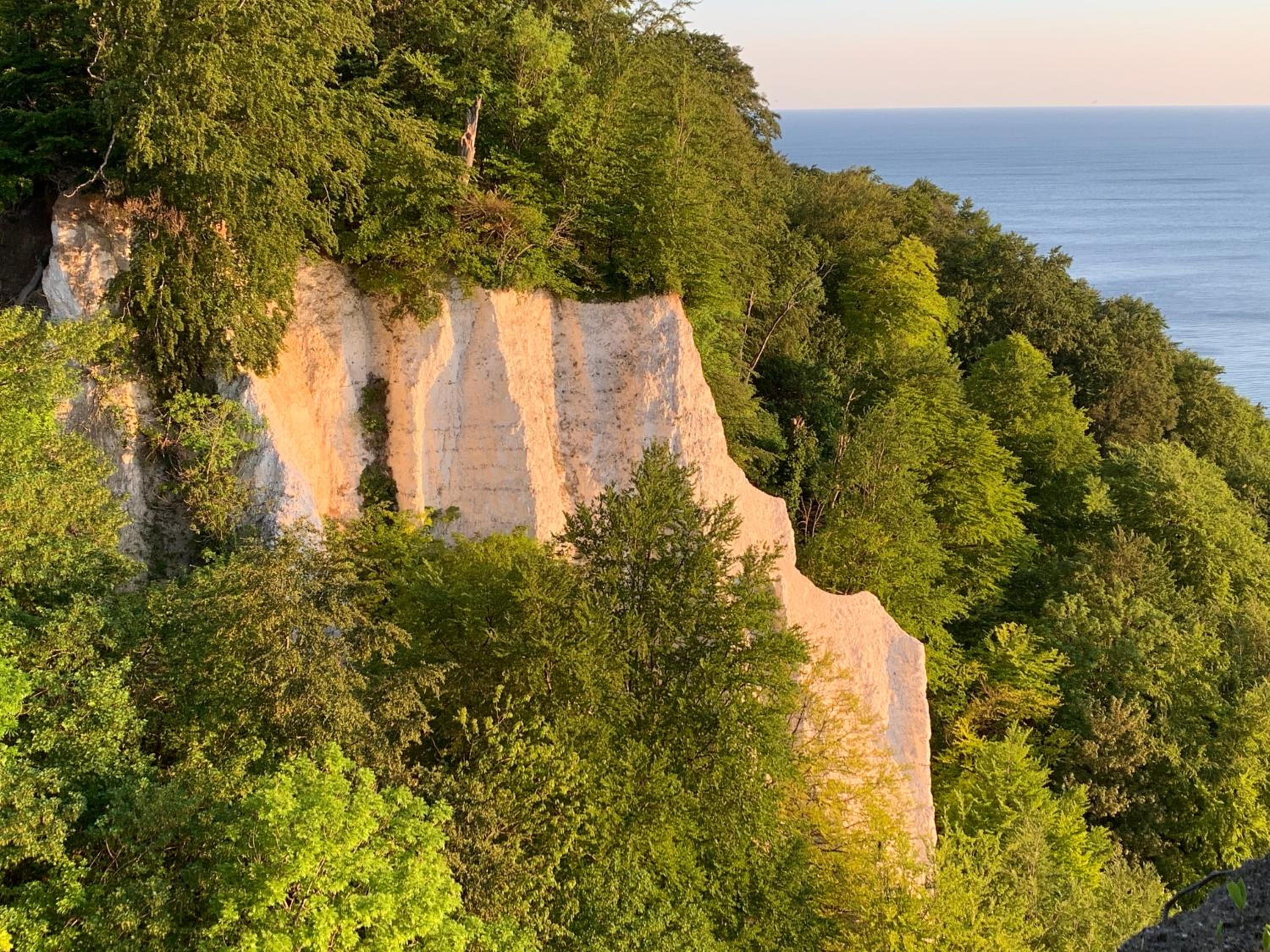 Ferienhaus am Nationalpark - Ihr Zuhause auf Rügen