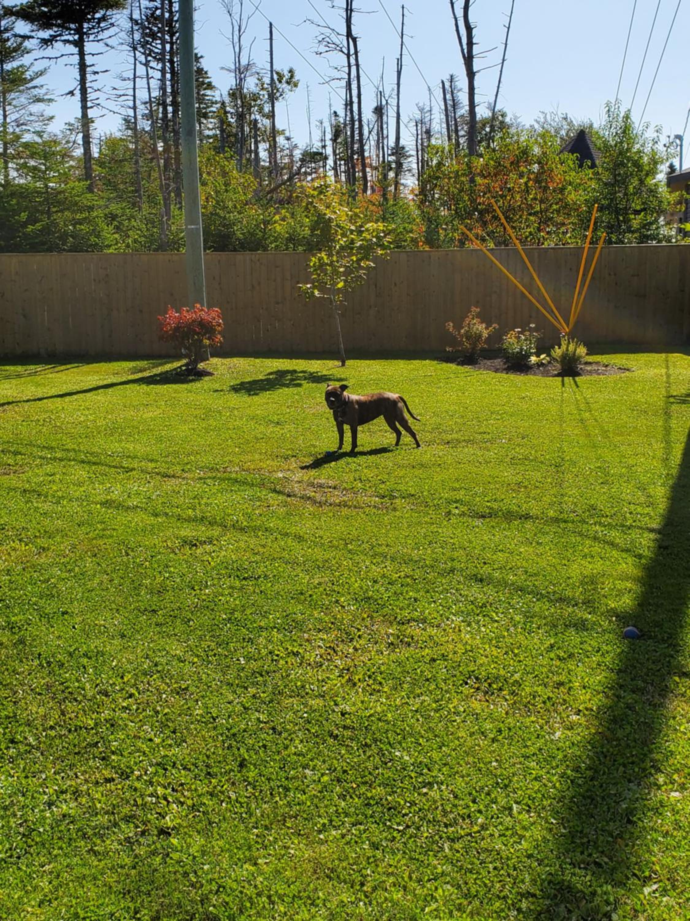 Photo 14