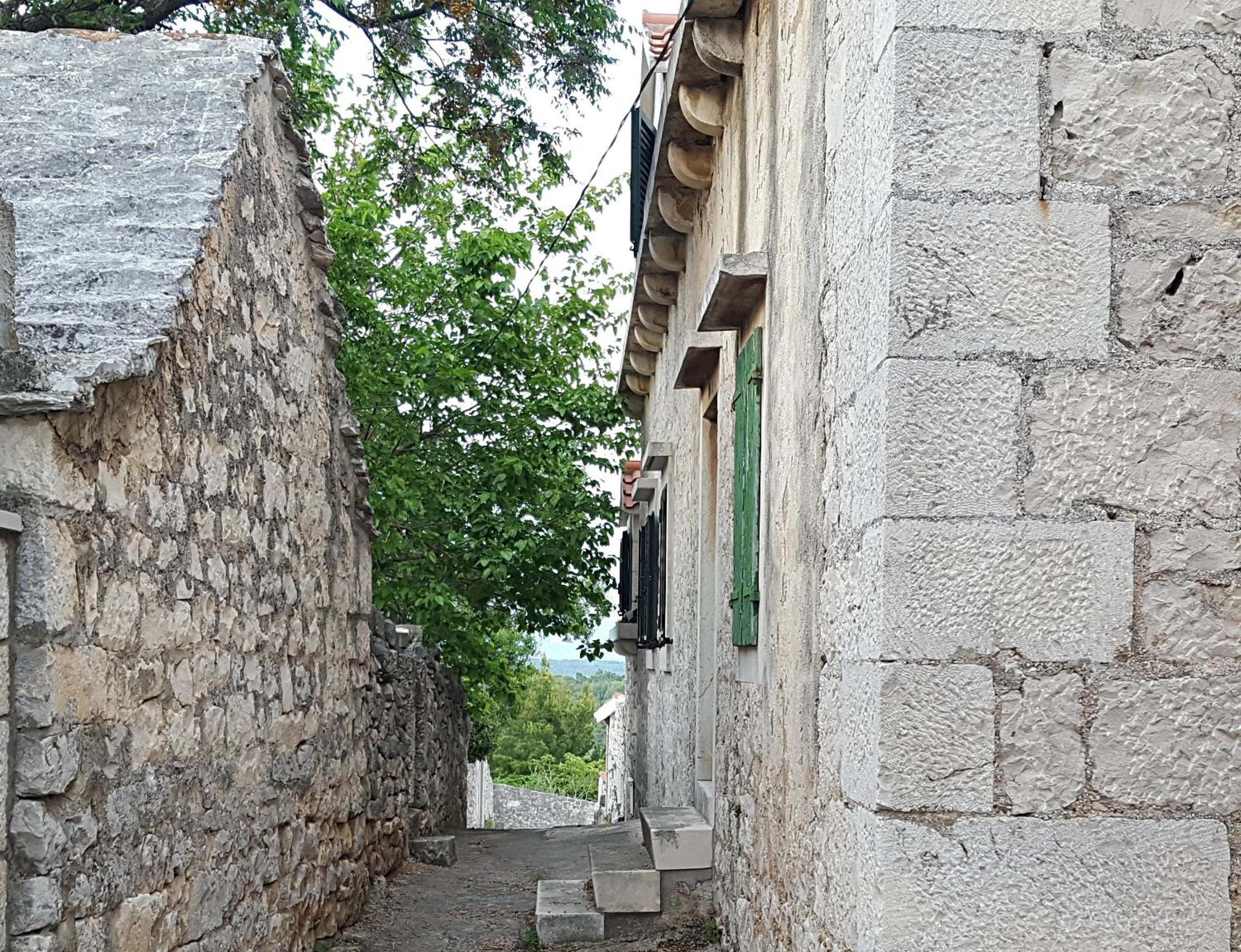Photo 38