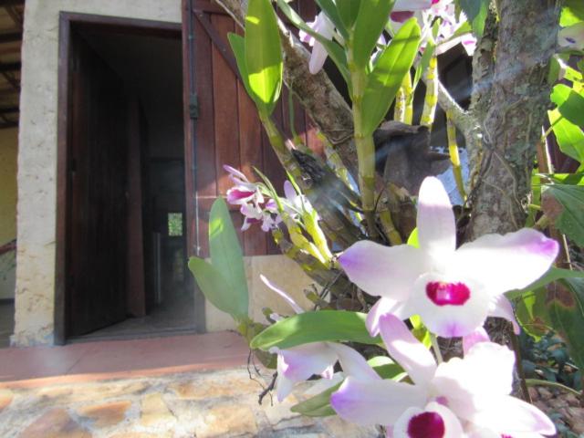 Photo 24