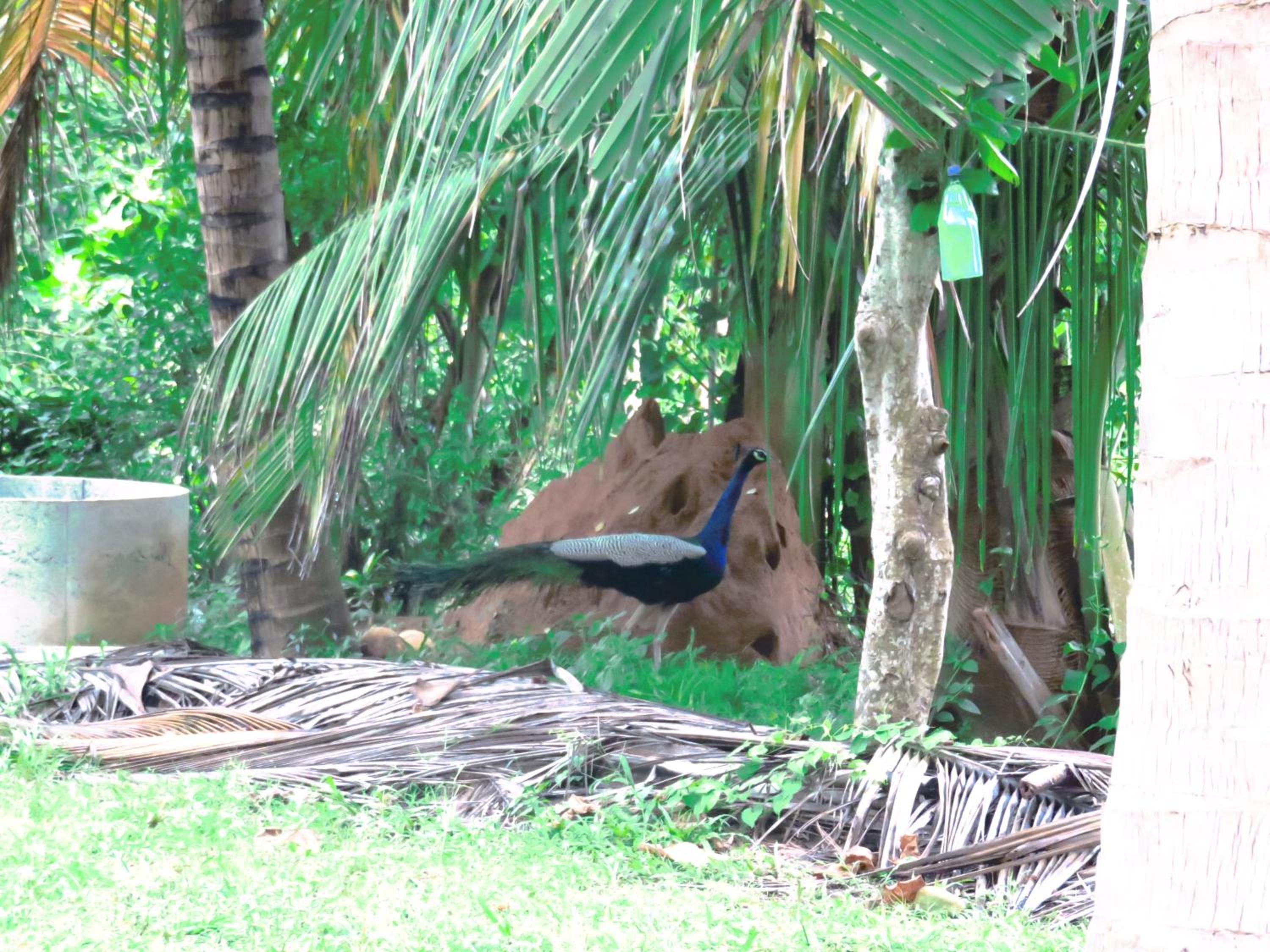 Beach Lagoon Guesthouse