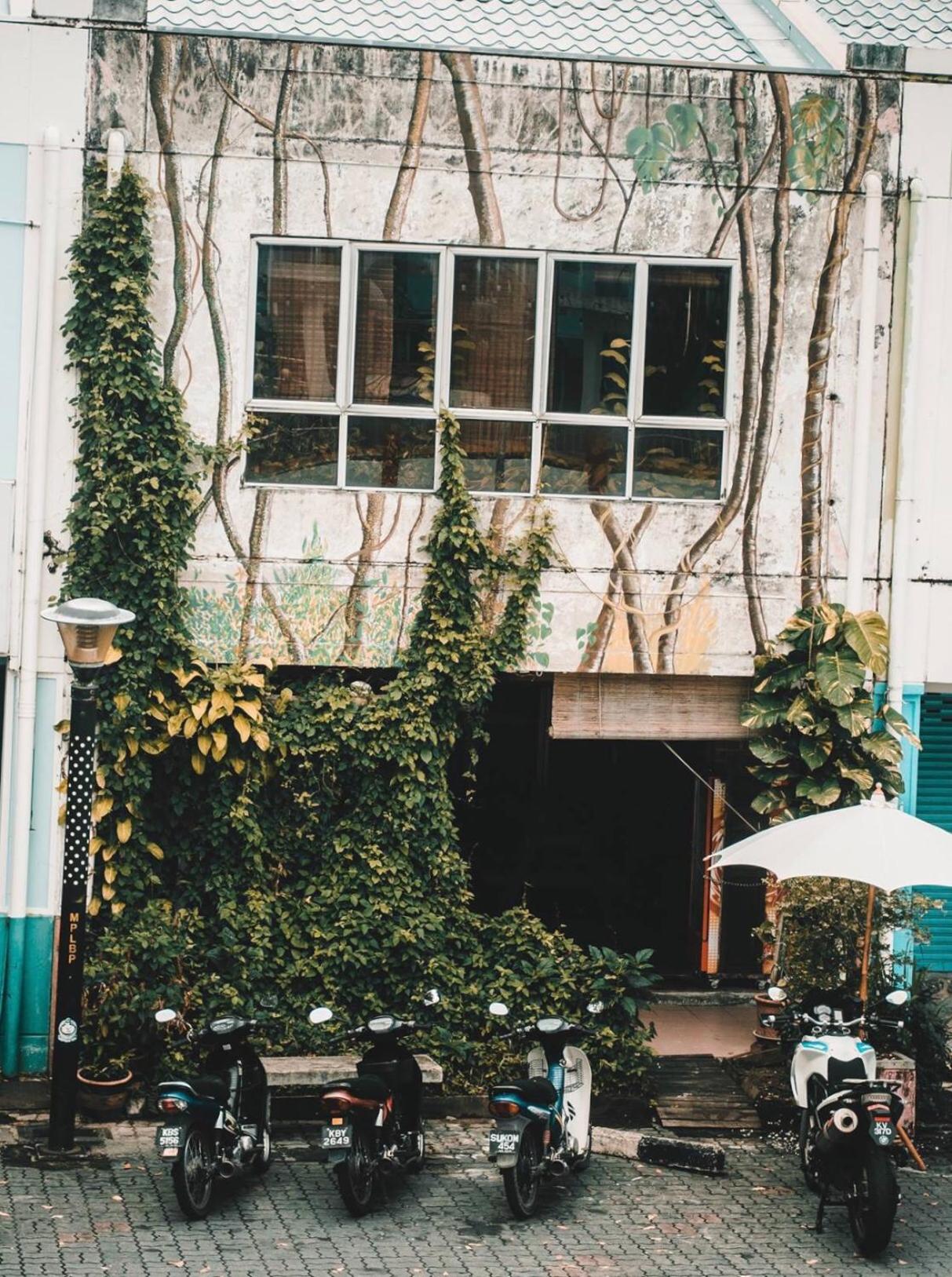 Photo 42