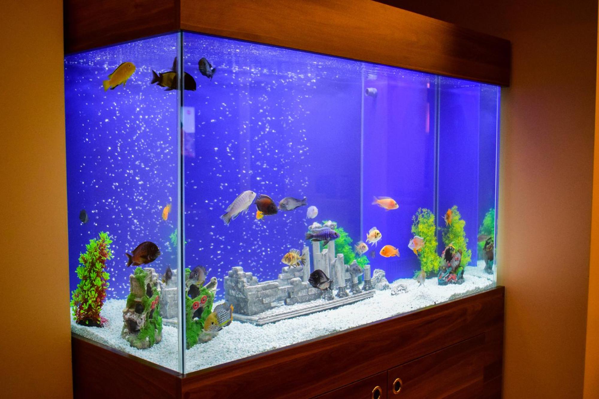 Mekke Hotel Istanbul - Image 39