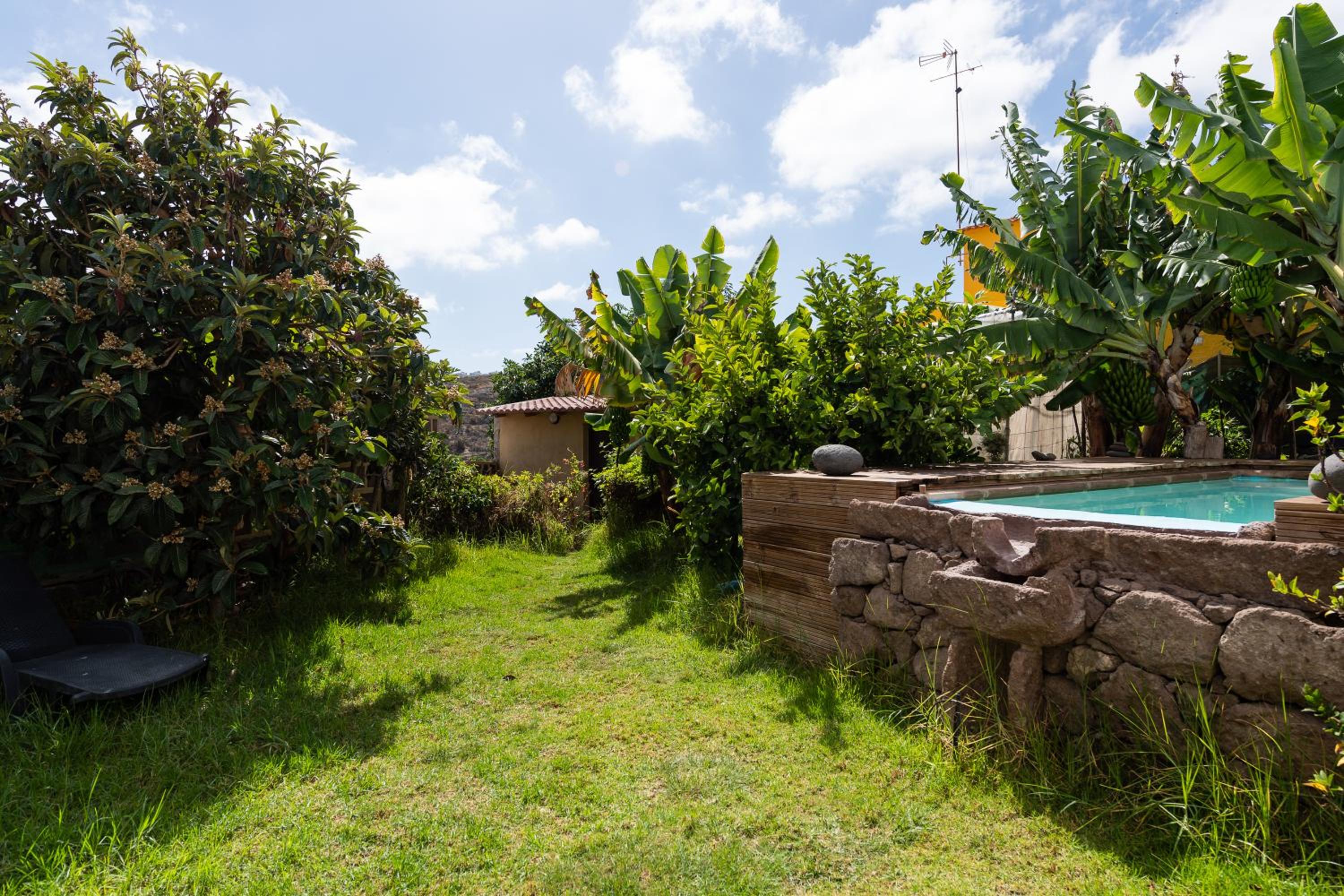 Villa Canaria piscina jacuzzi jardín photo 2