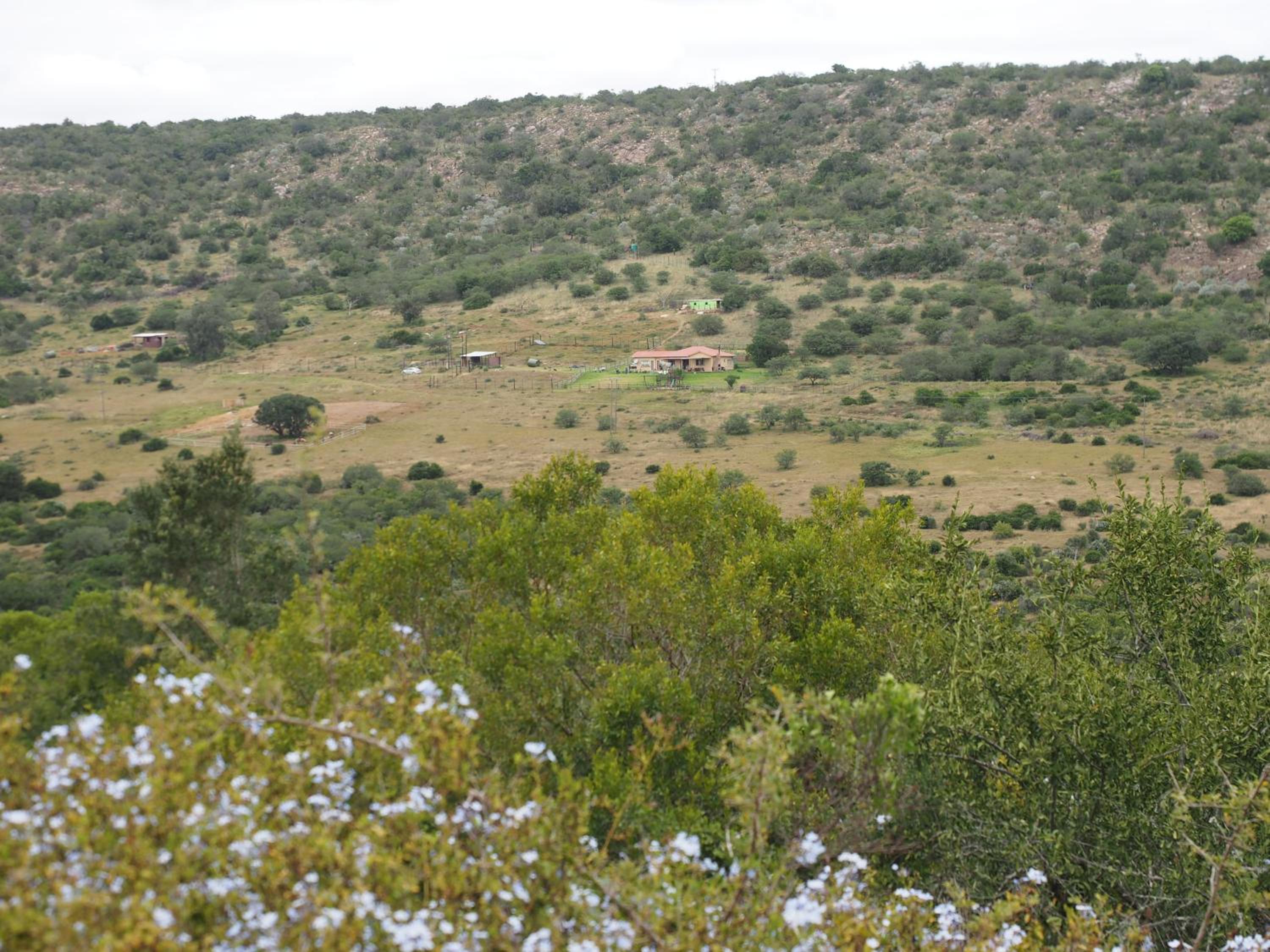Pure Nature Familodge