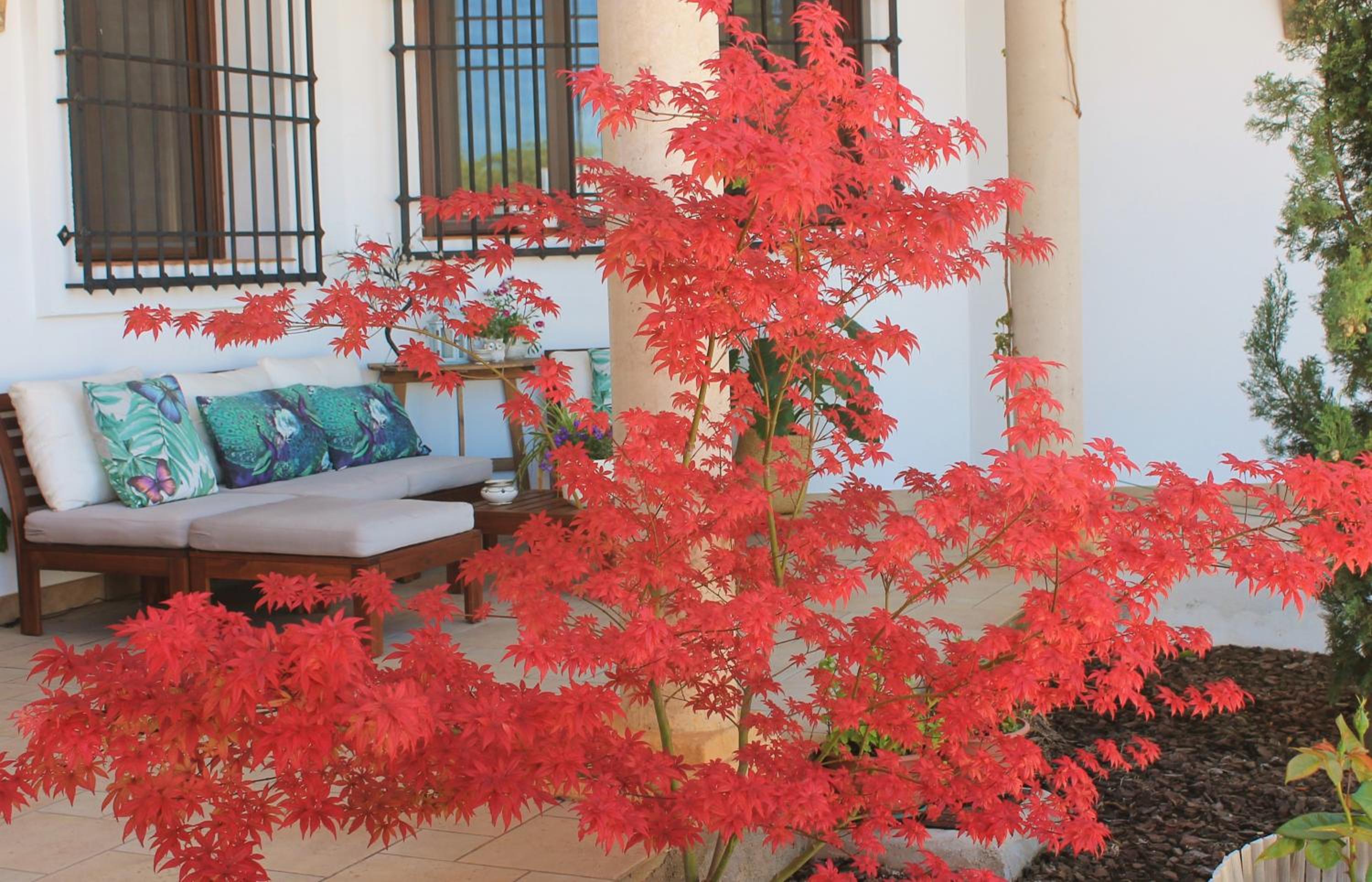 Photo 30