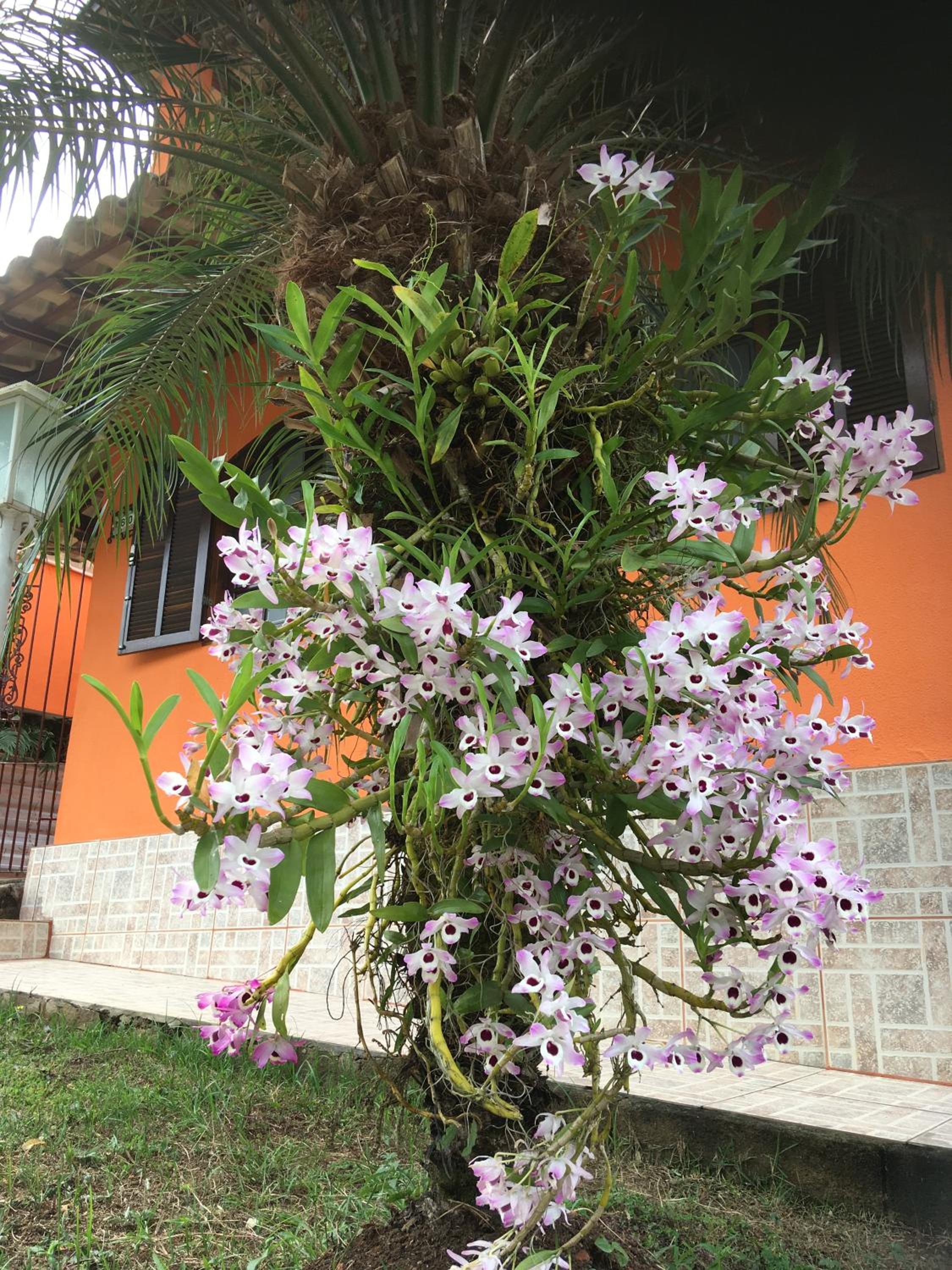 CASA - CIDADE das CACHOEIRAS