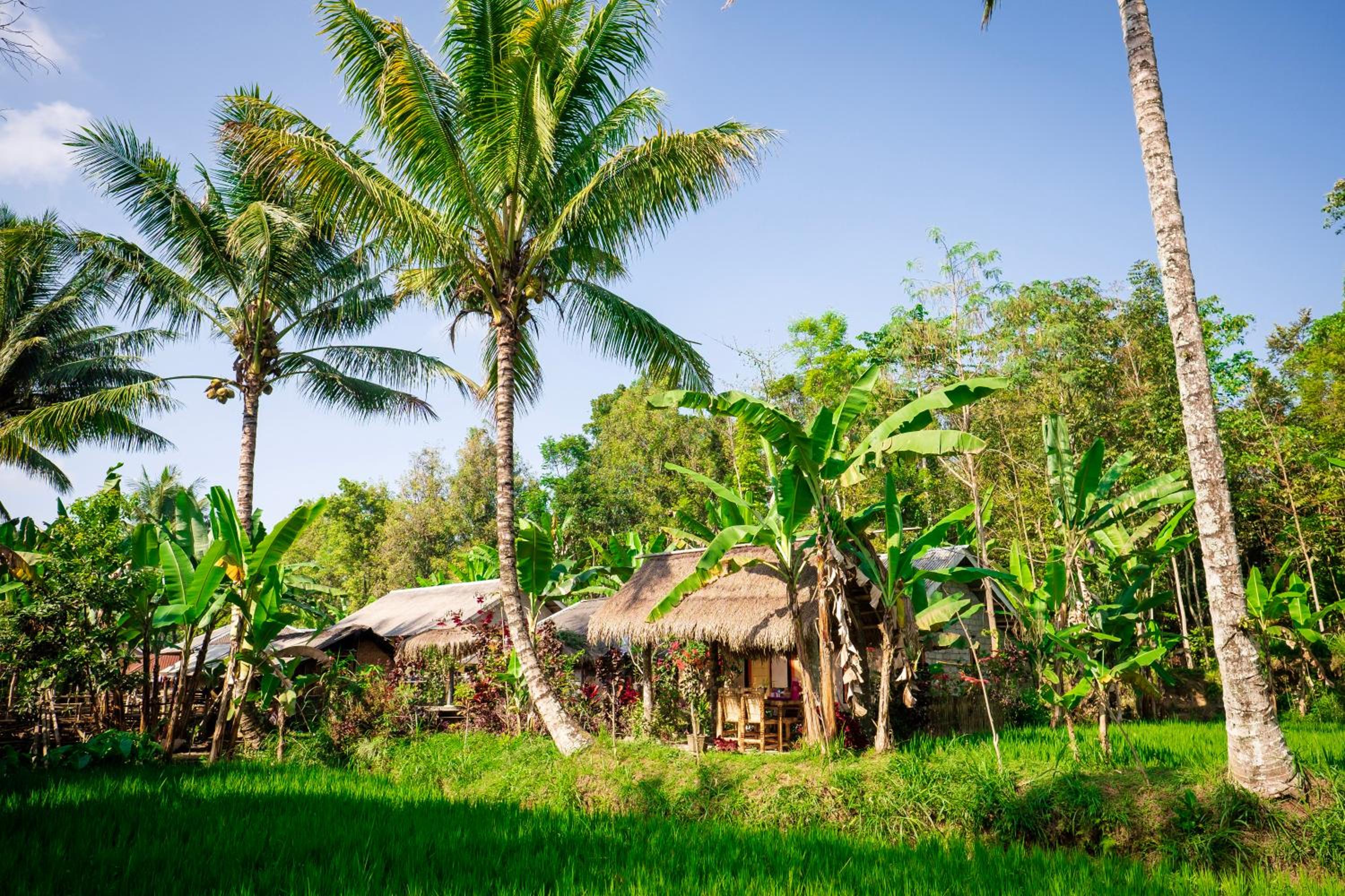 Vanilla Cottage Tetebatu view 2