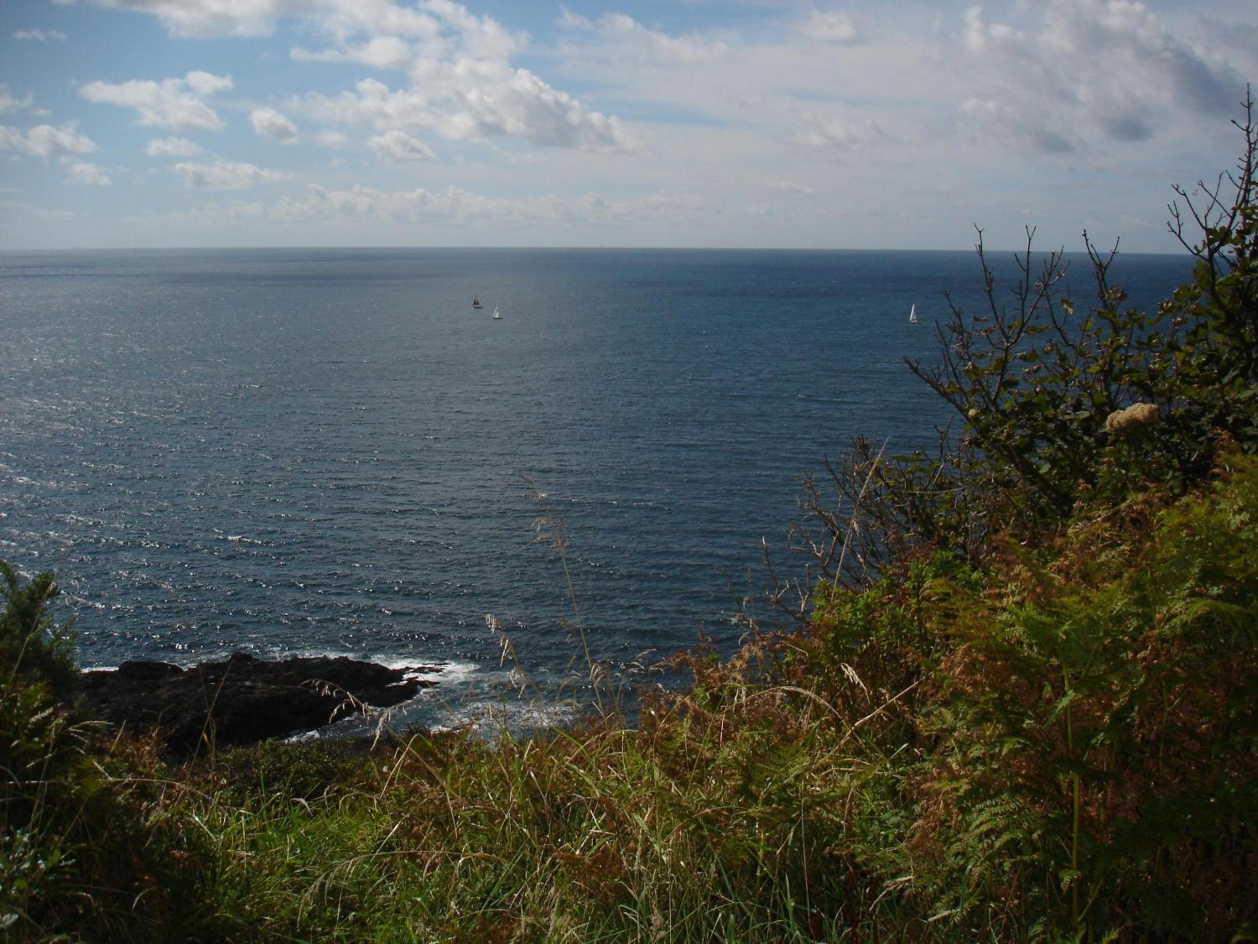 Rame Barton Guest House and Pottery