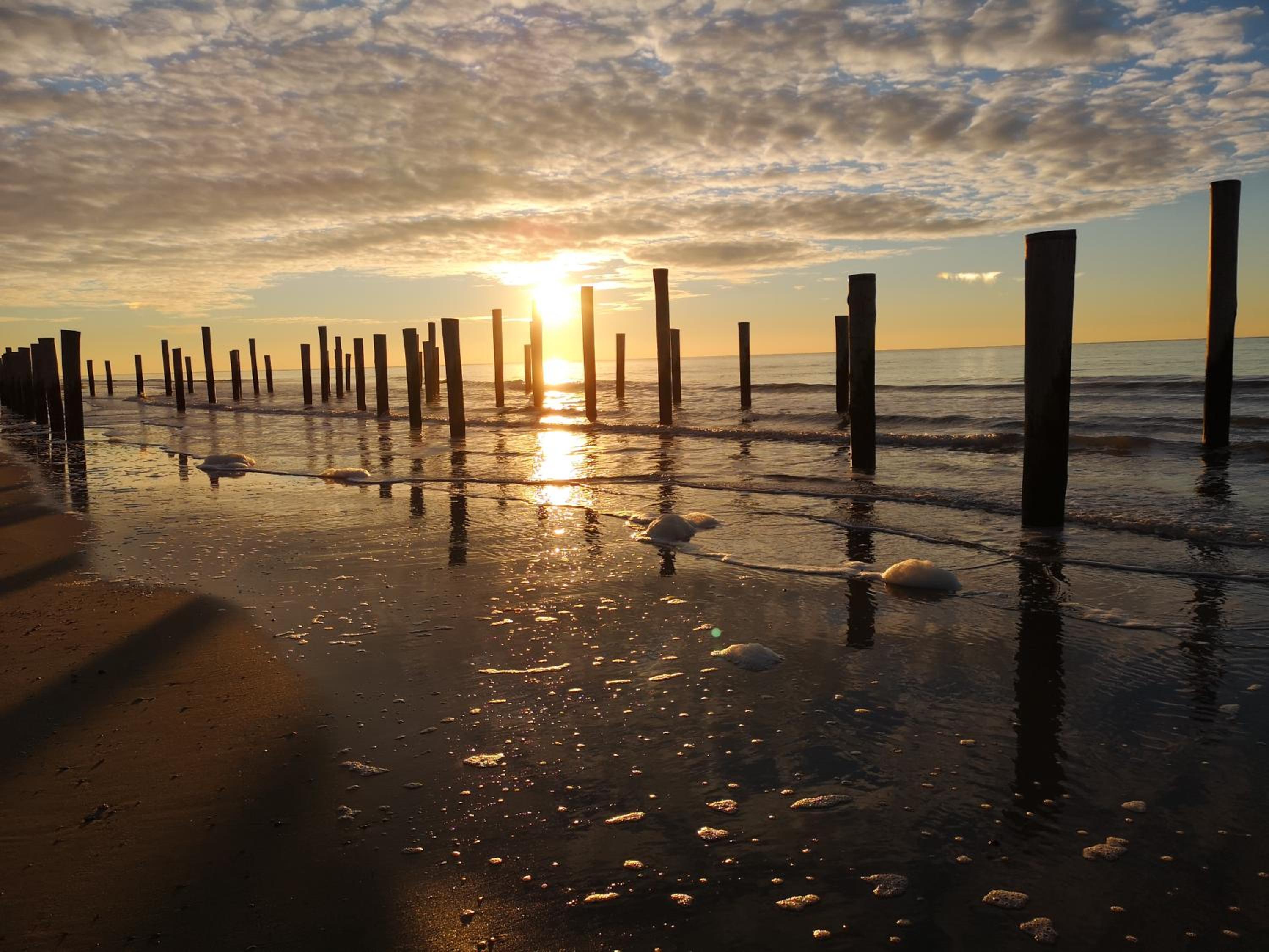 Nieuw Strand view 5