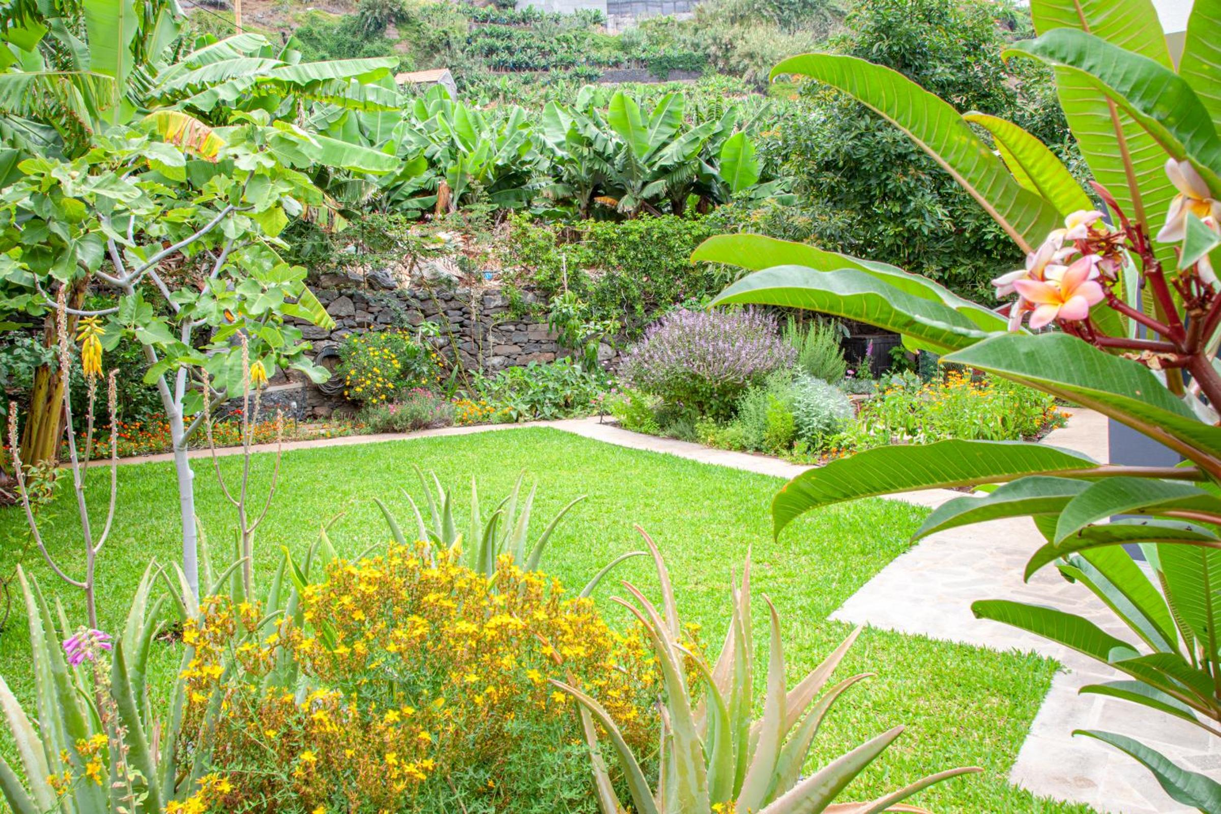 Quinta Golfinho