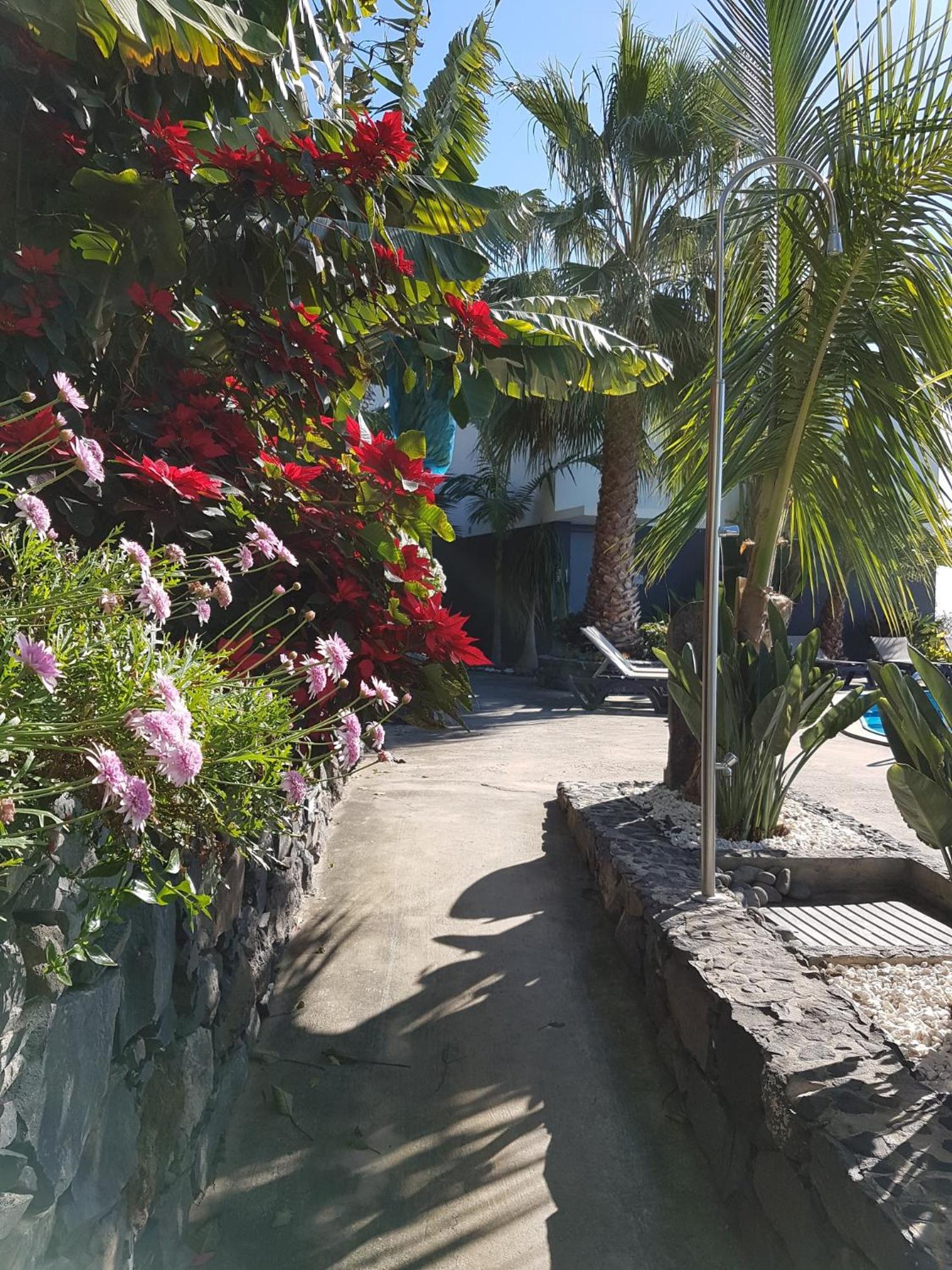 Quinta Golfinho