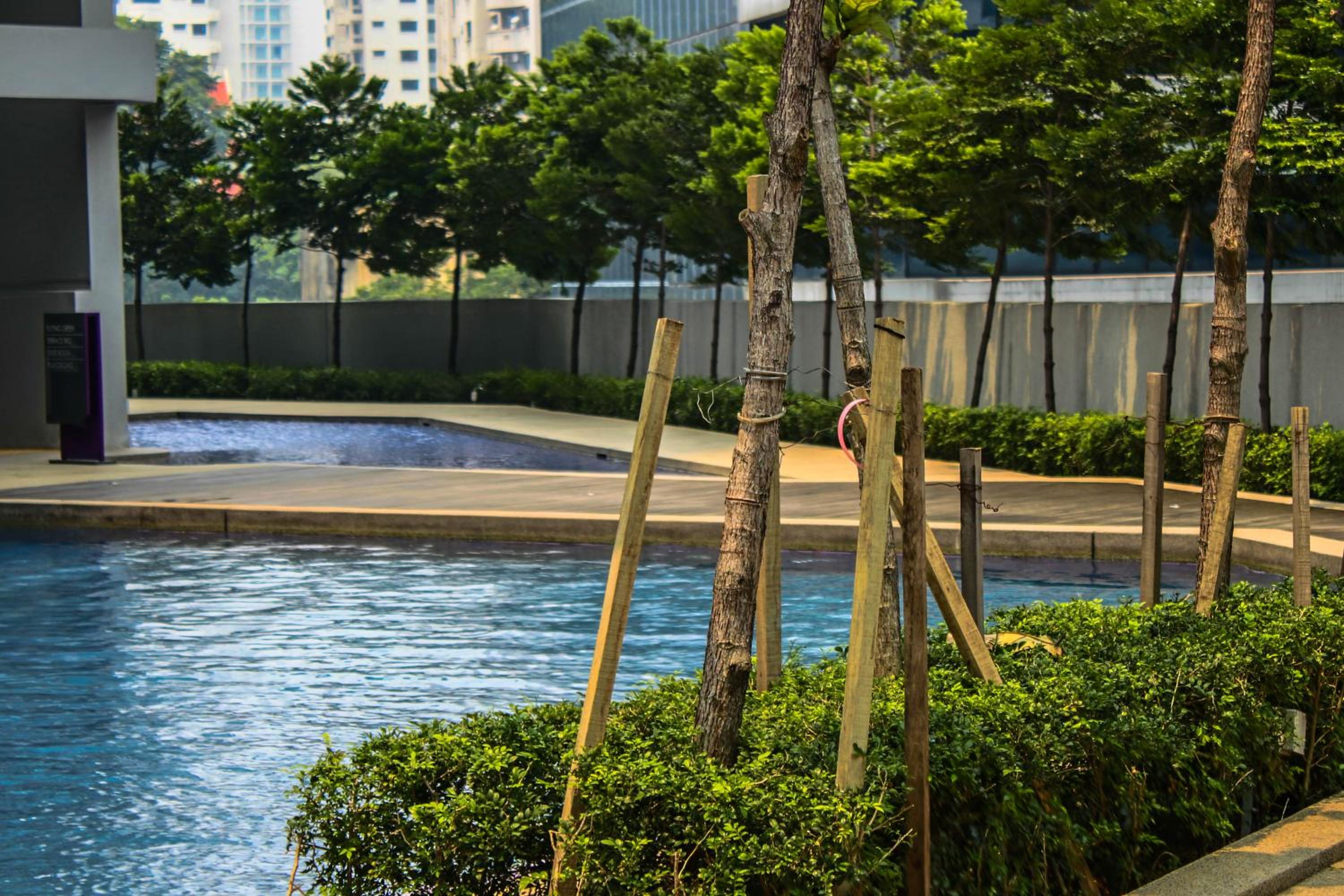 The Robertson By Tenang Homes