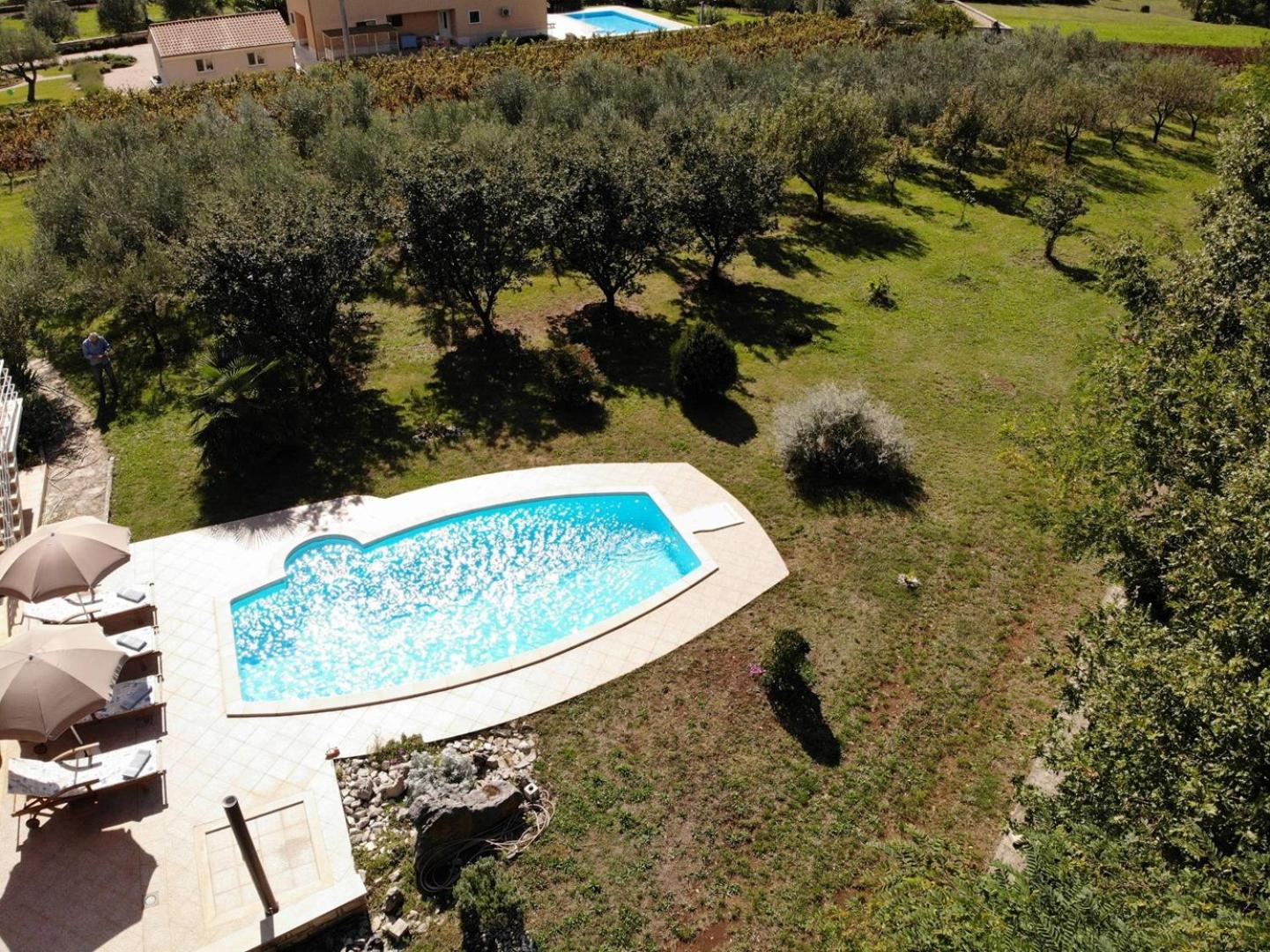 Photo 127