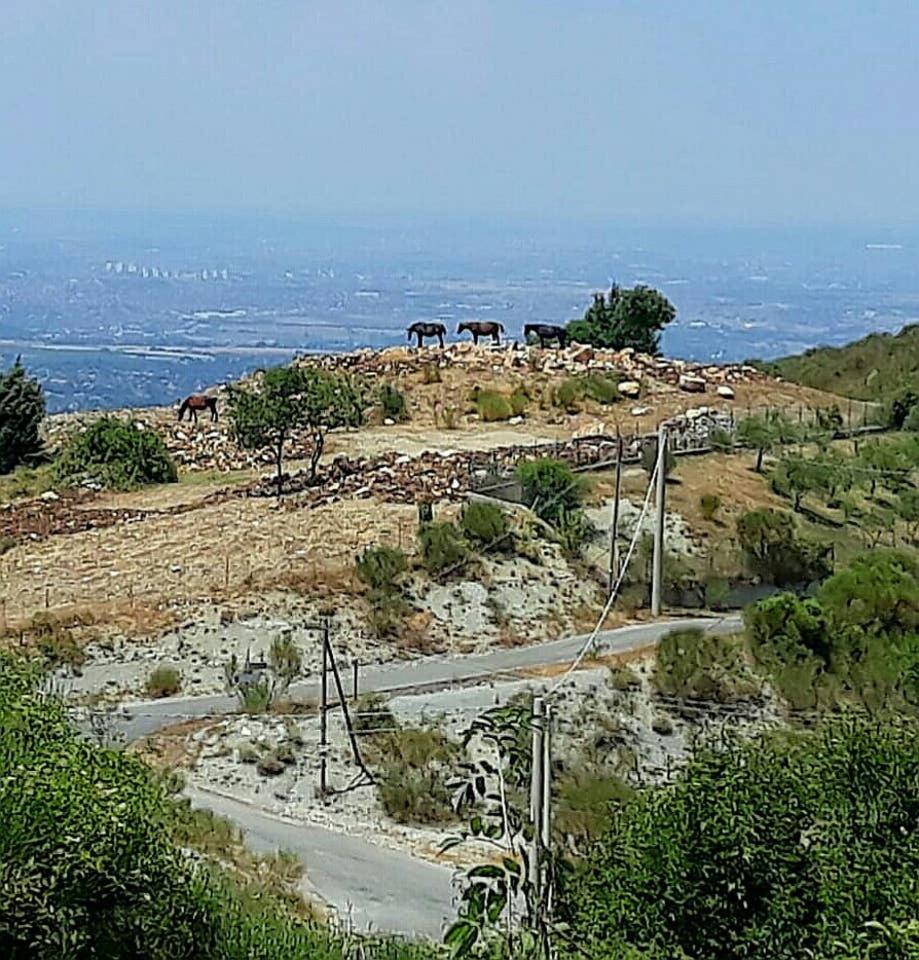 Il Vascello