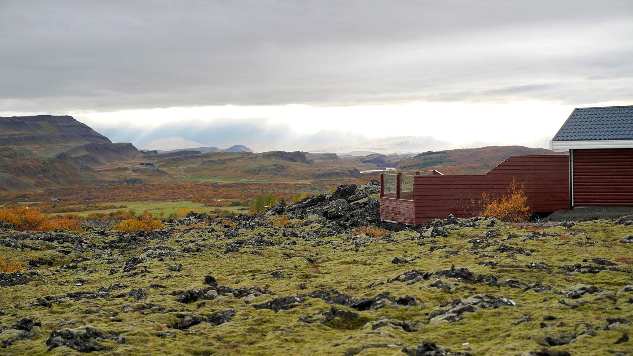 Photo 44