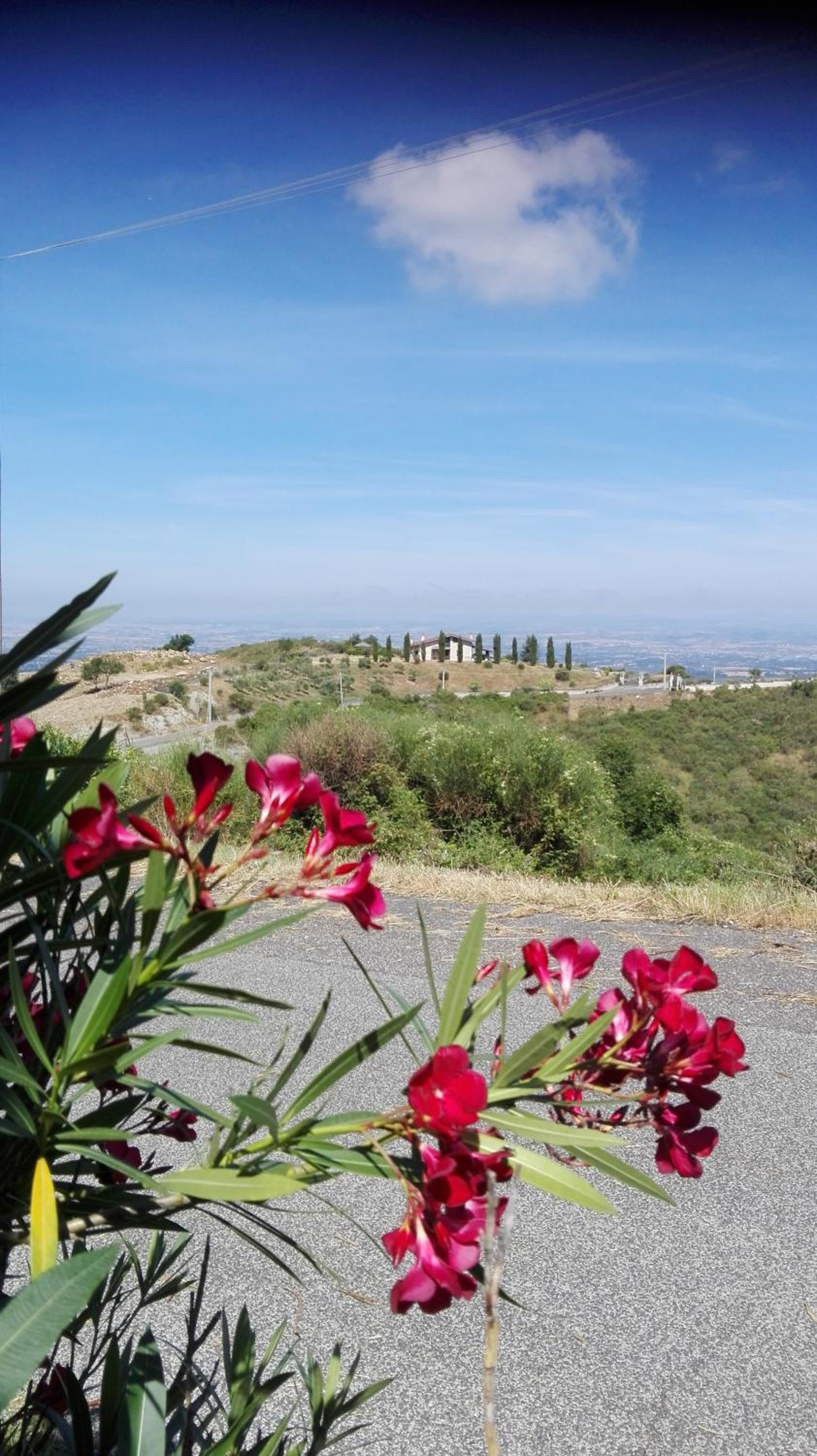 Il Vascello
