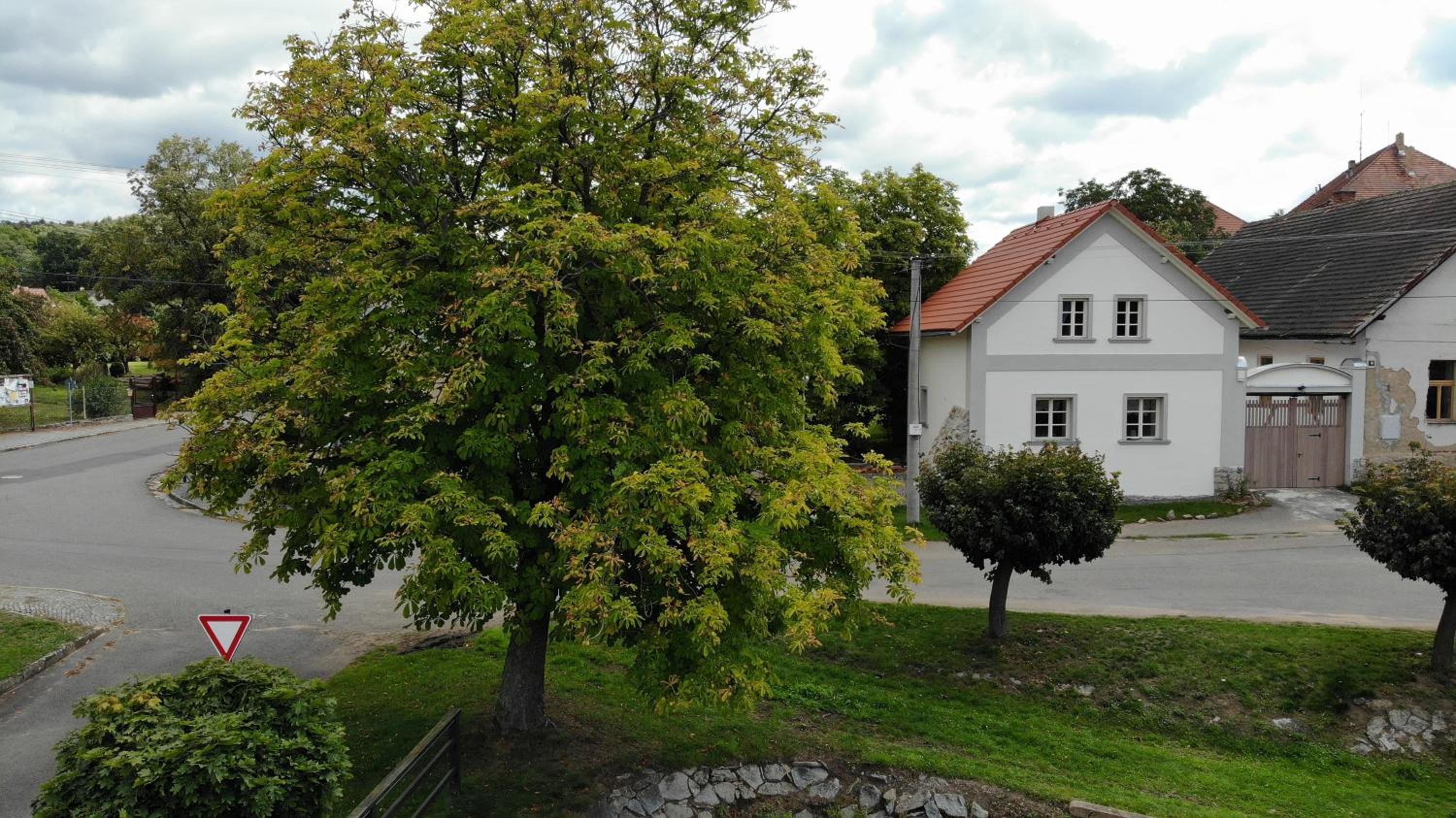 U Květů