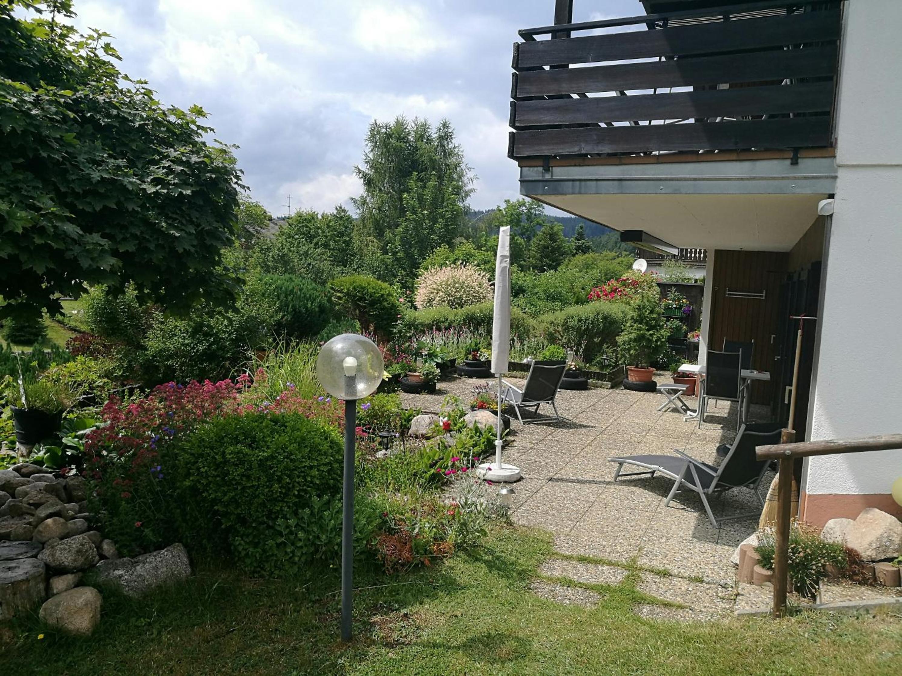 Photo 31