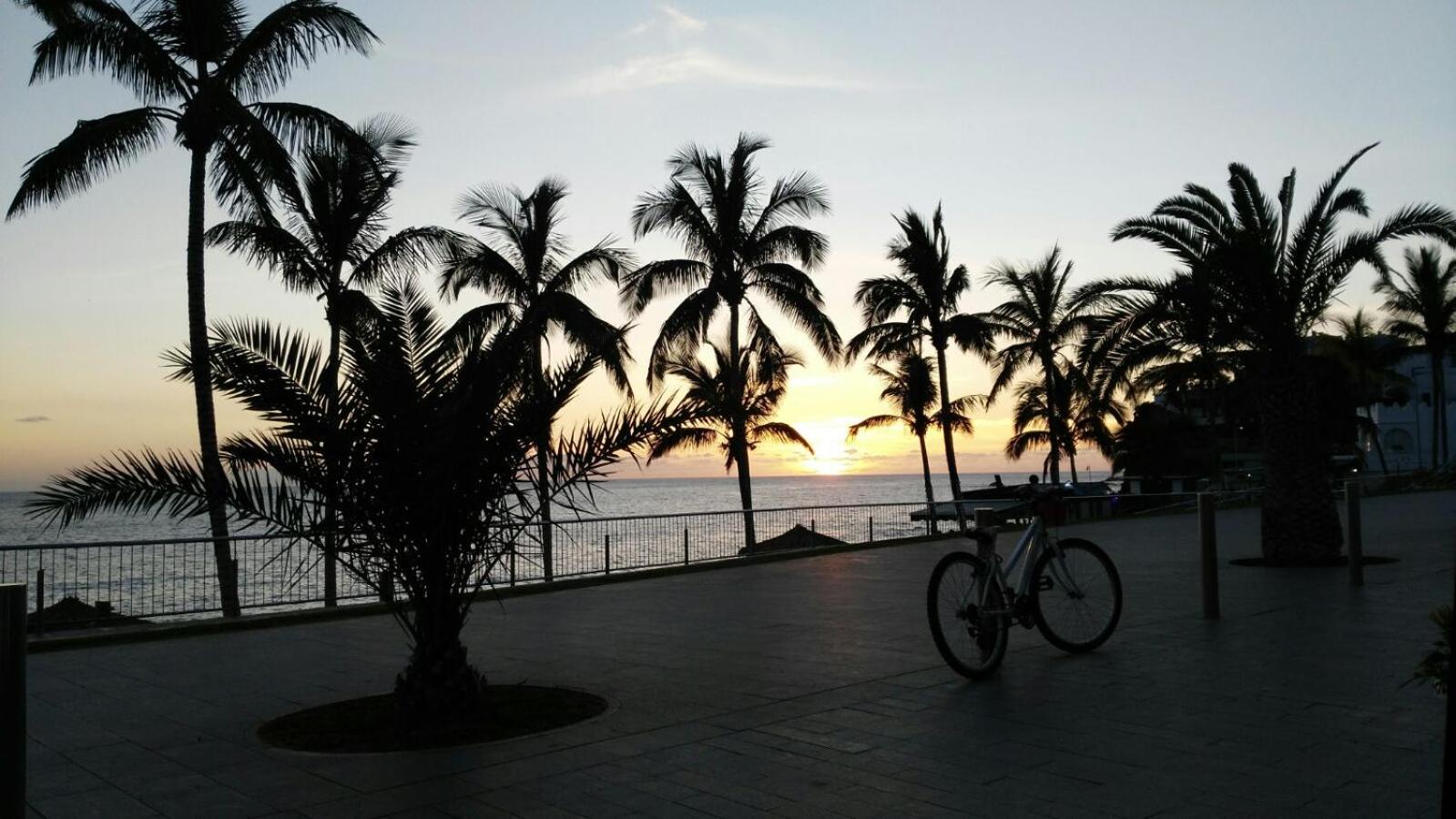 Delfin Playa