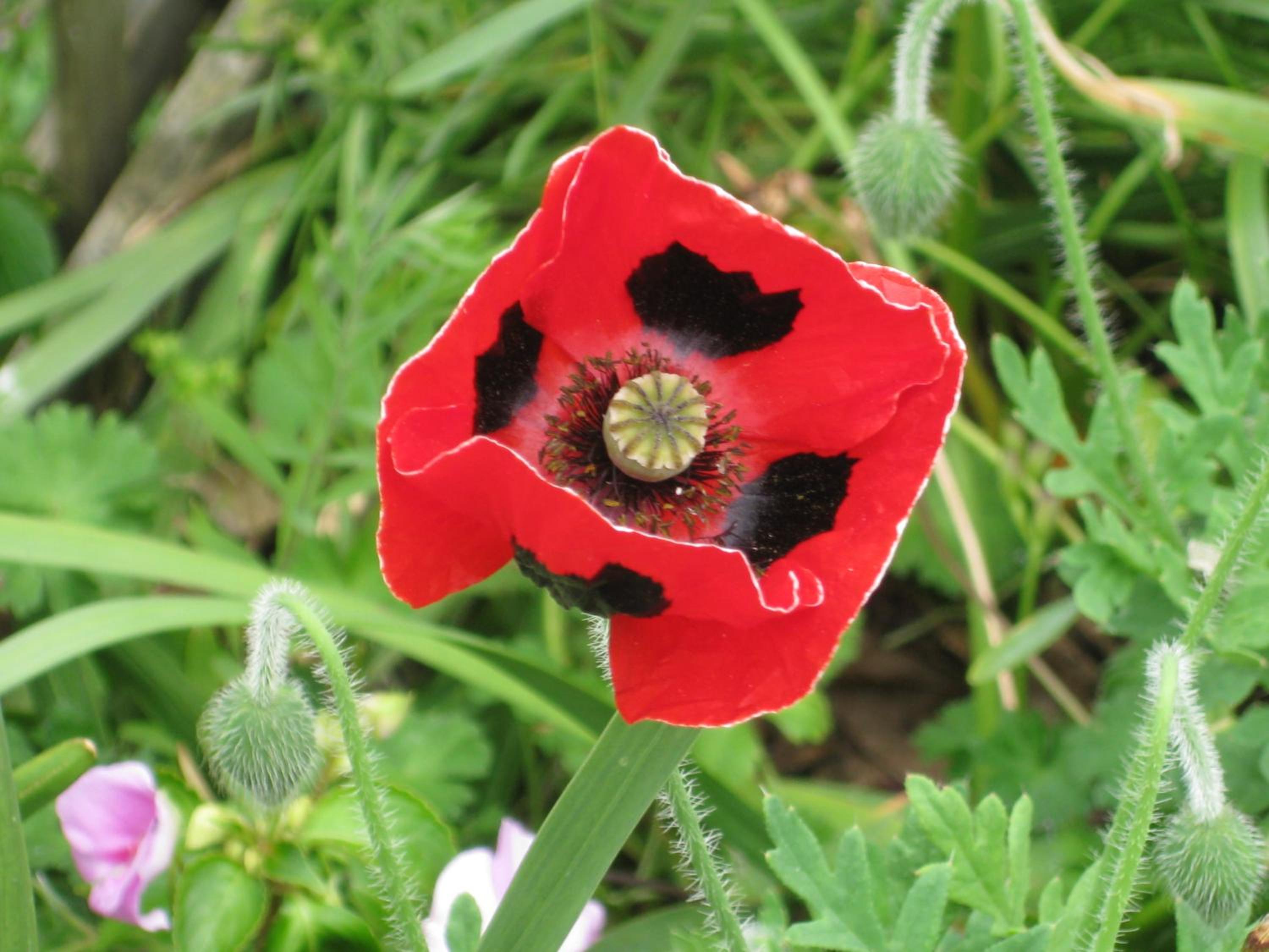 Photo 20