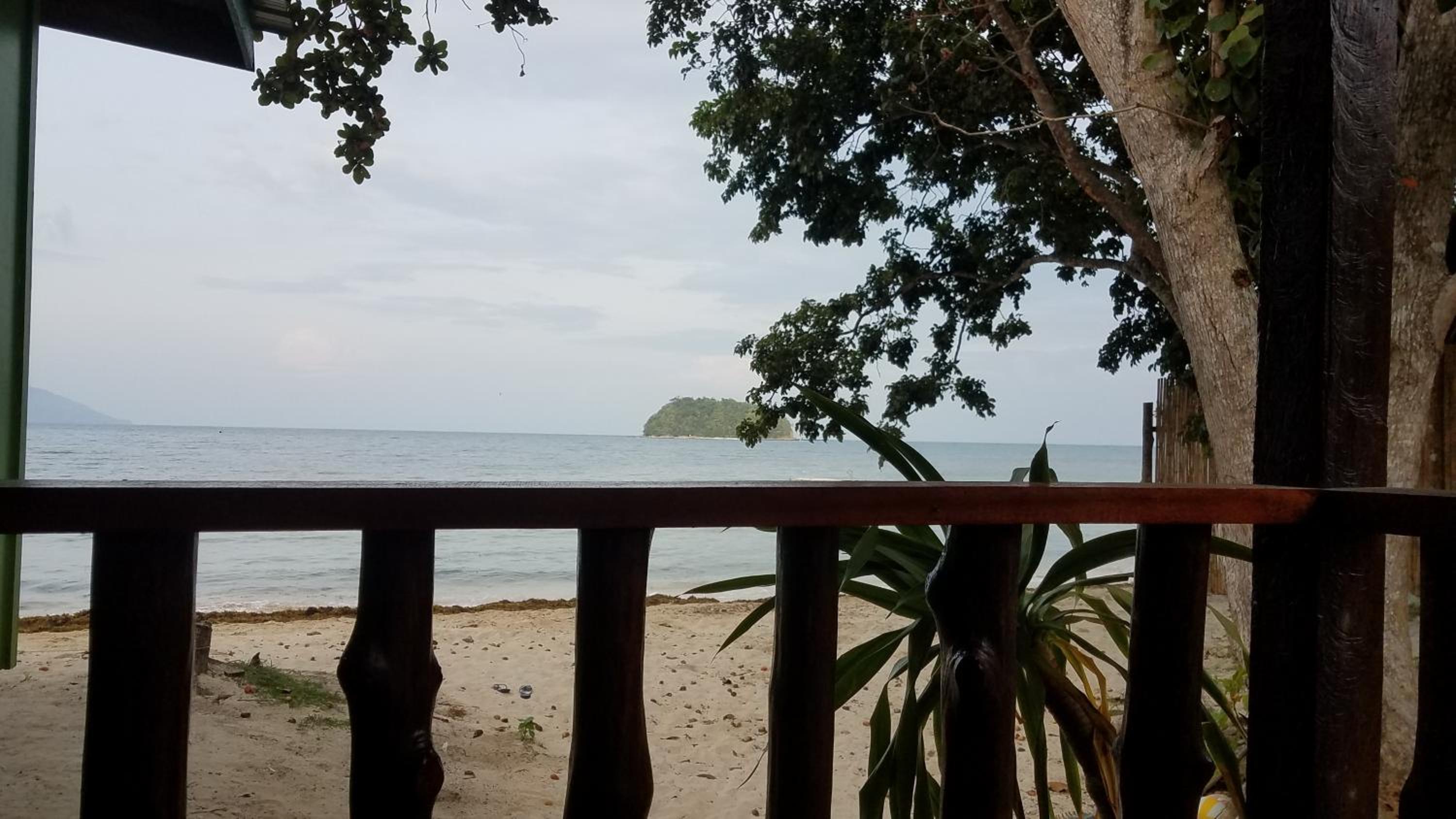 Photo 24