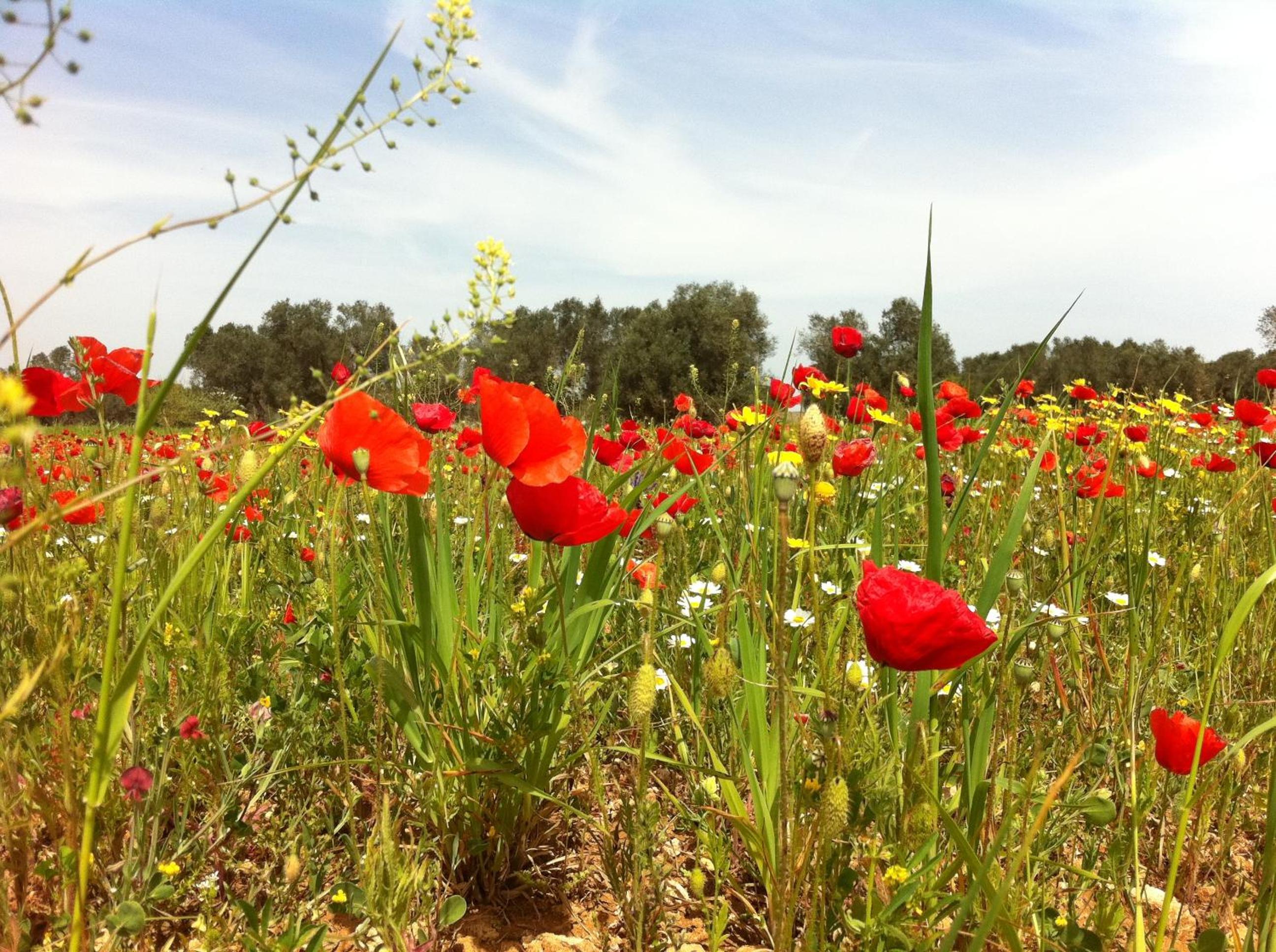 Agriturismo Mele