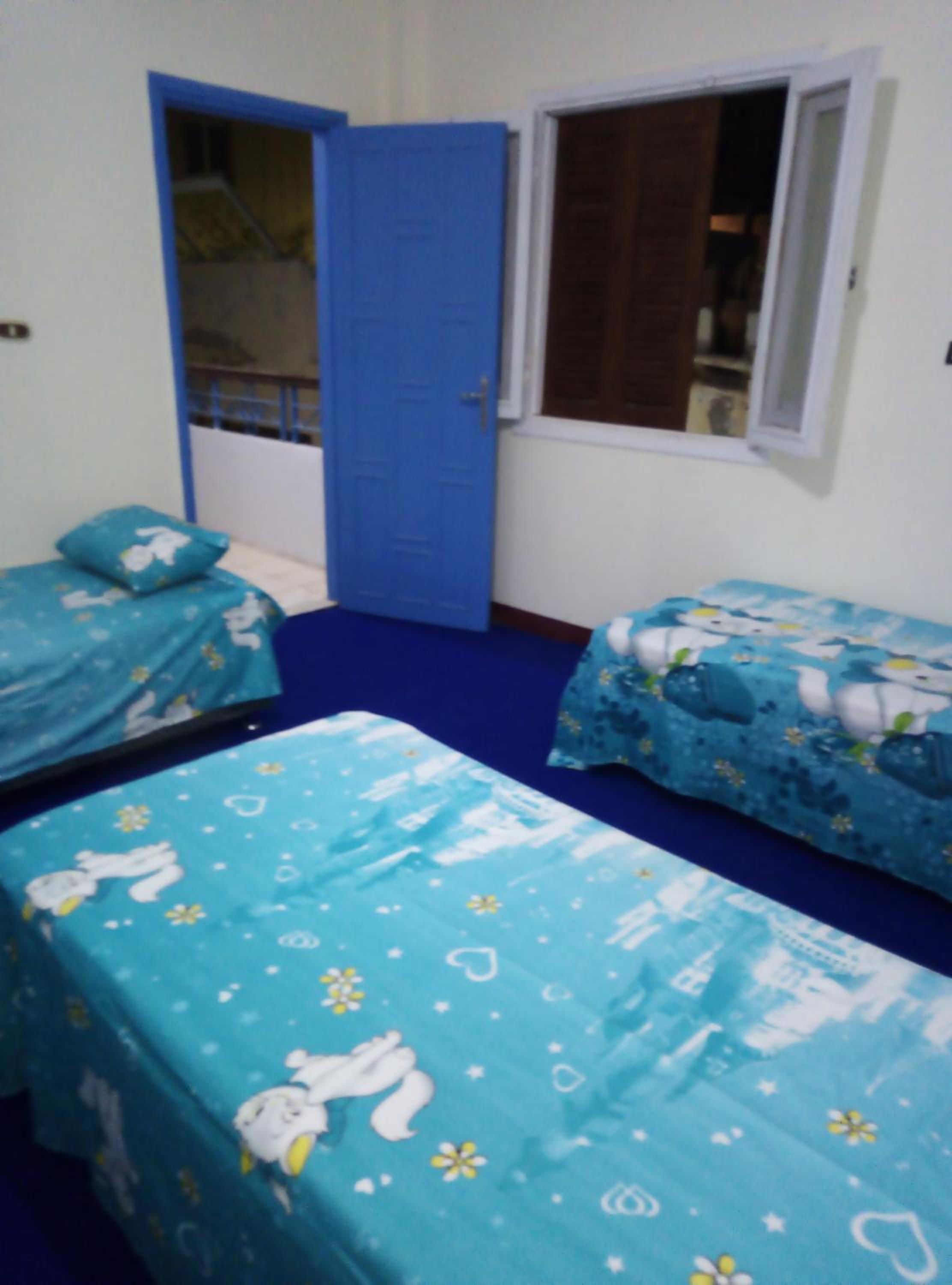 Photo 47